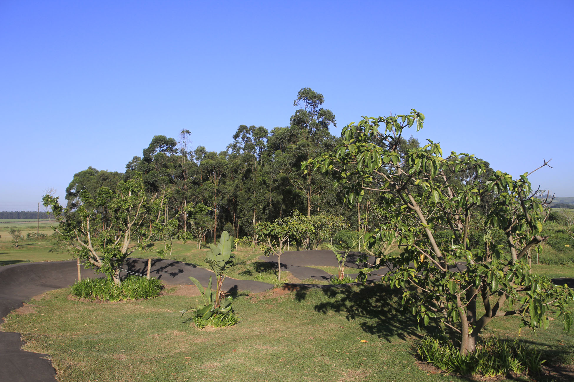 _MG_8015.jpg