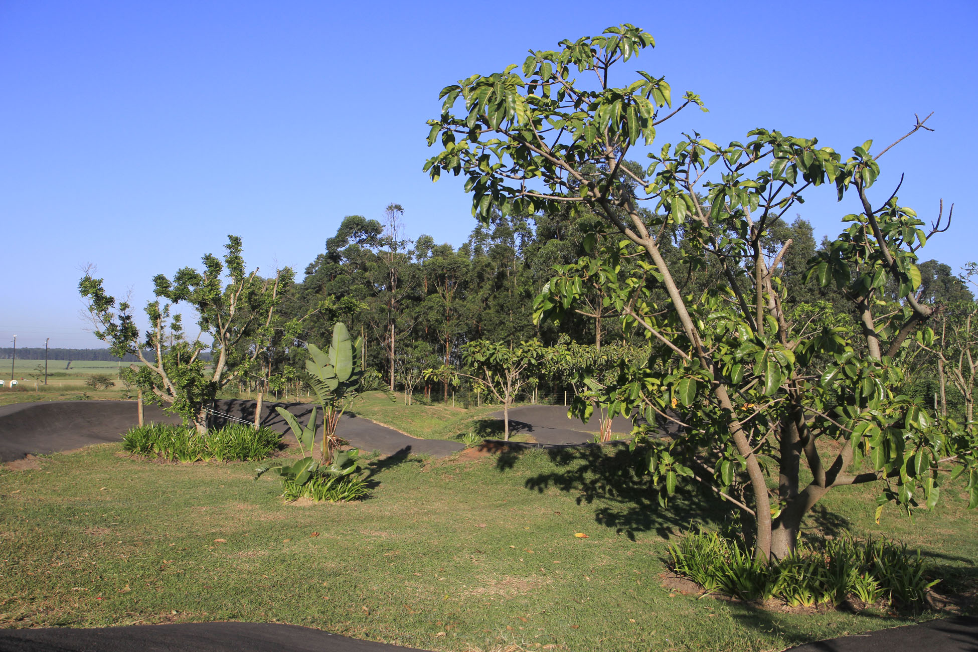 _MG_8016.jpg