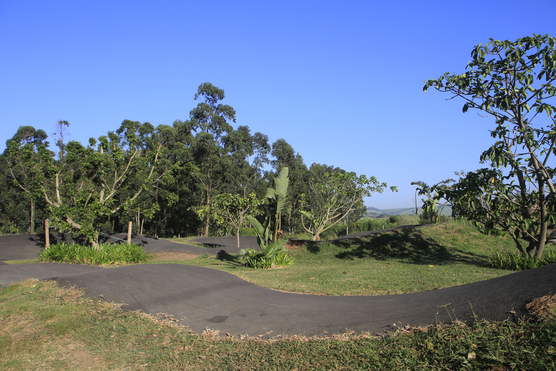 _MG_8017.jpg
