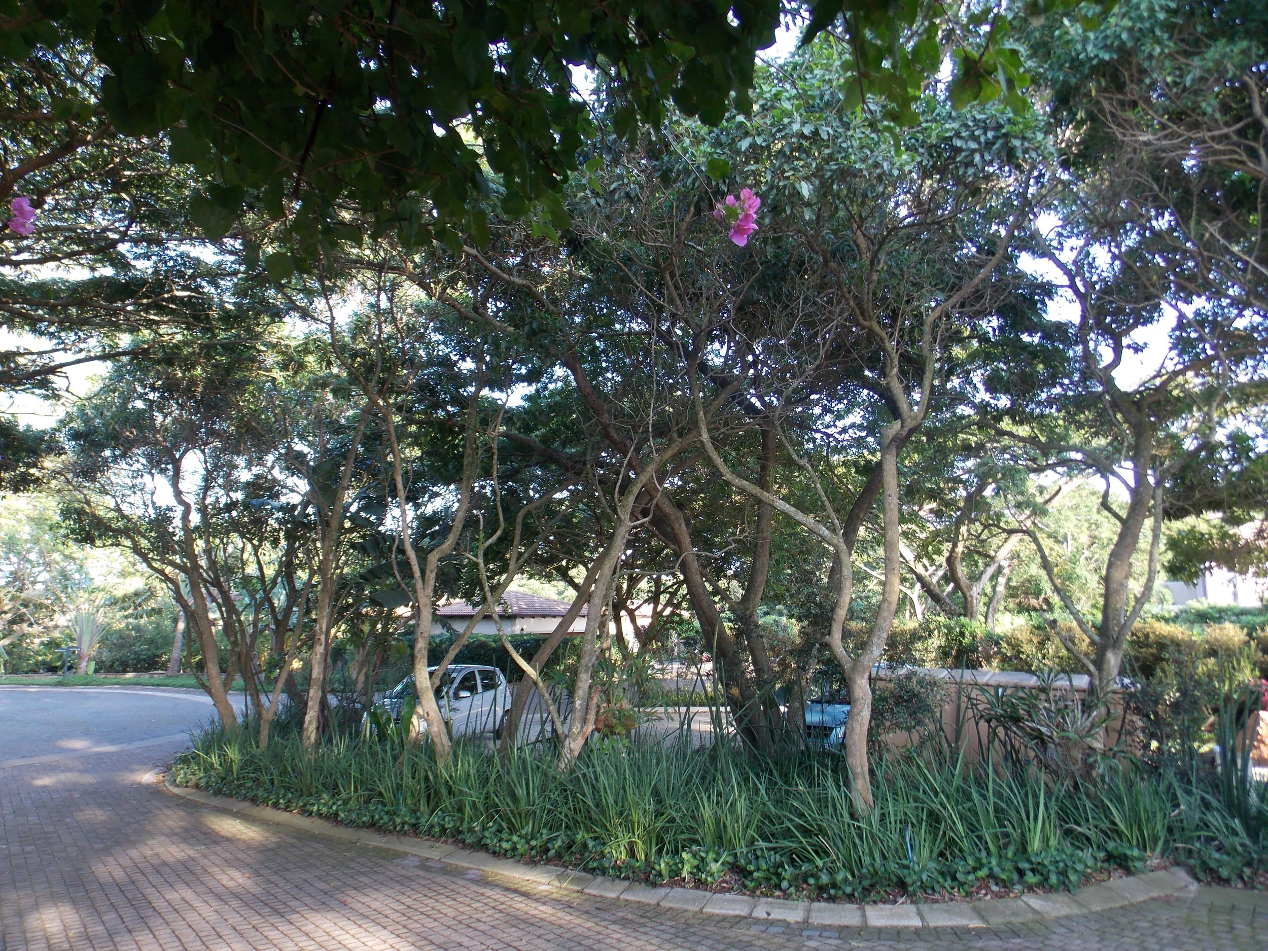 DSCN0735.jpg