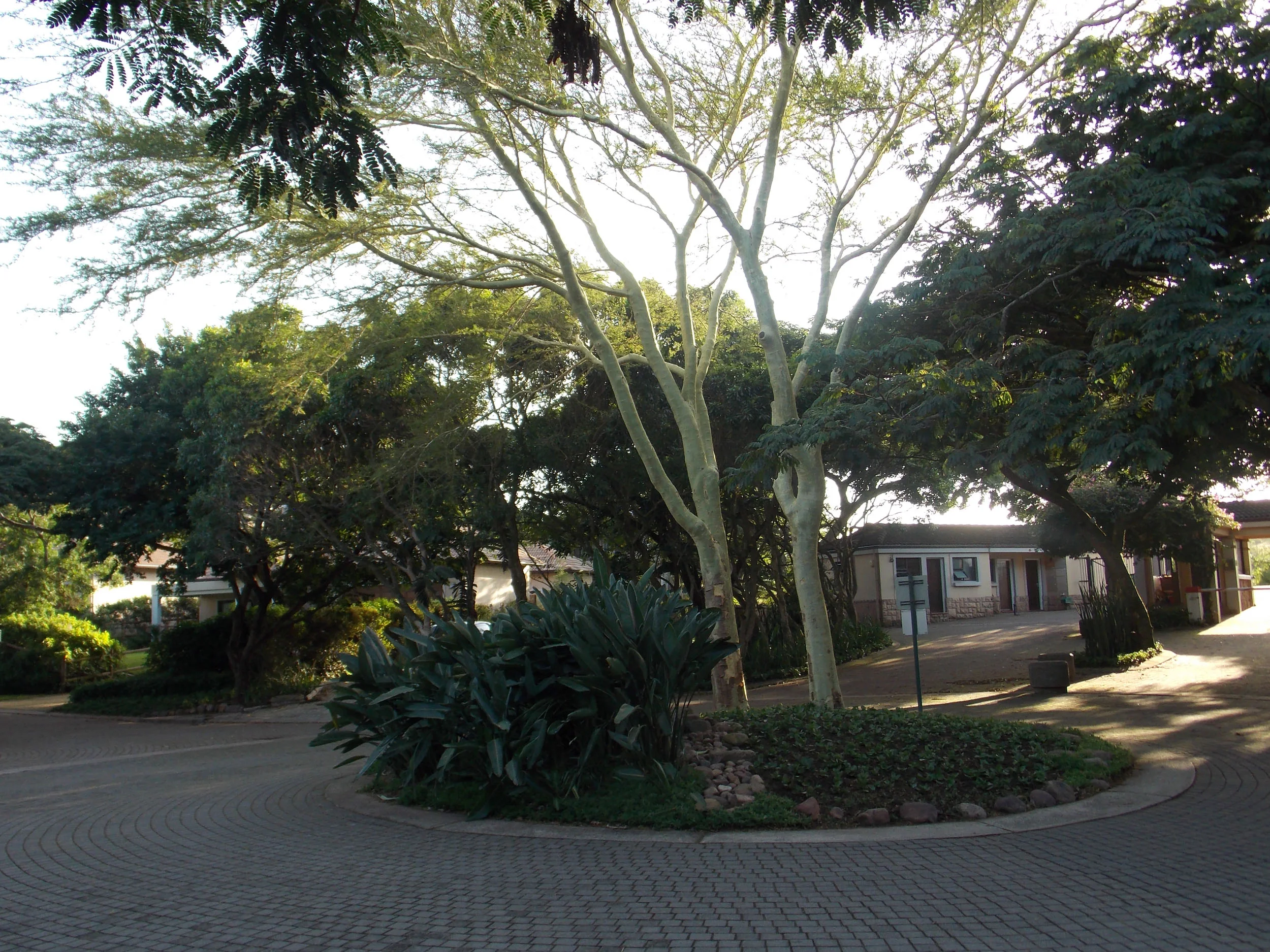 DSCN0740.jpg