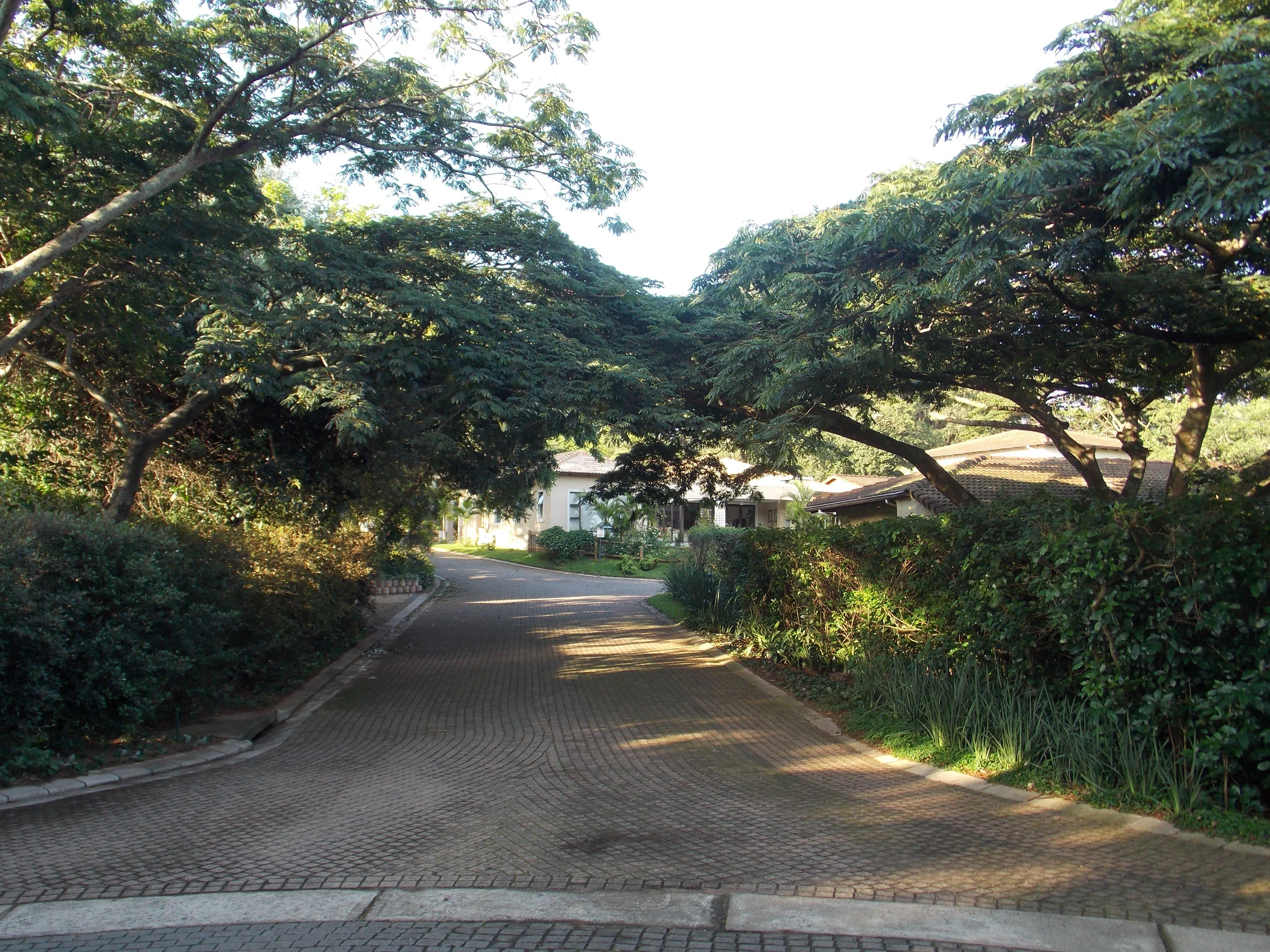 DSCN0739.jpg