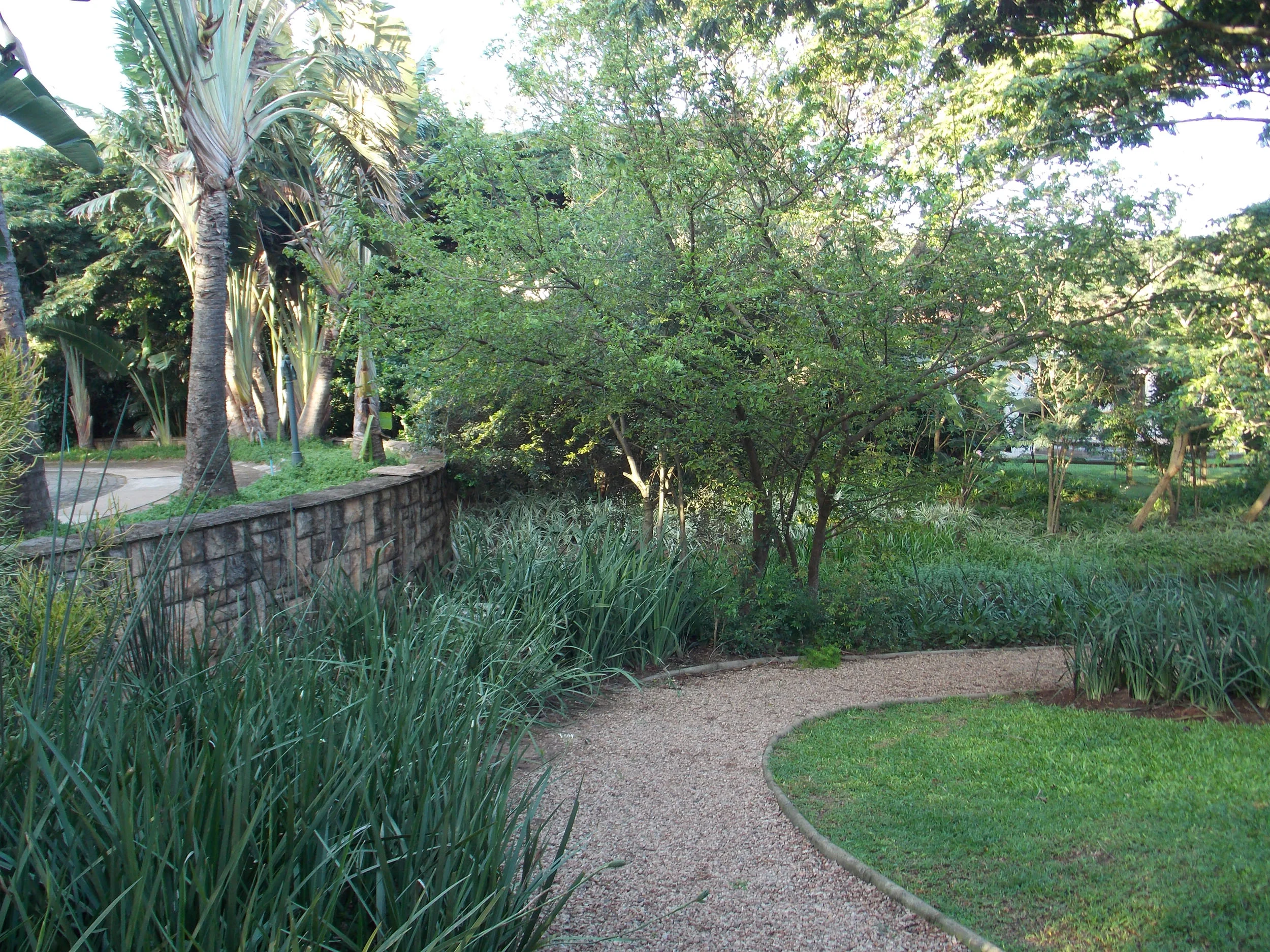 DSCN0741.jpg