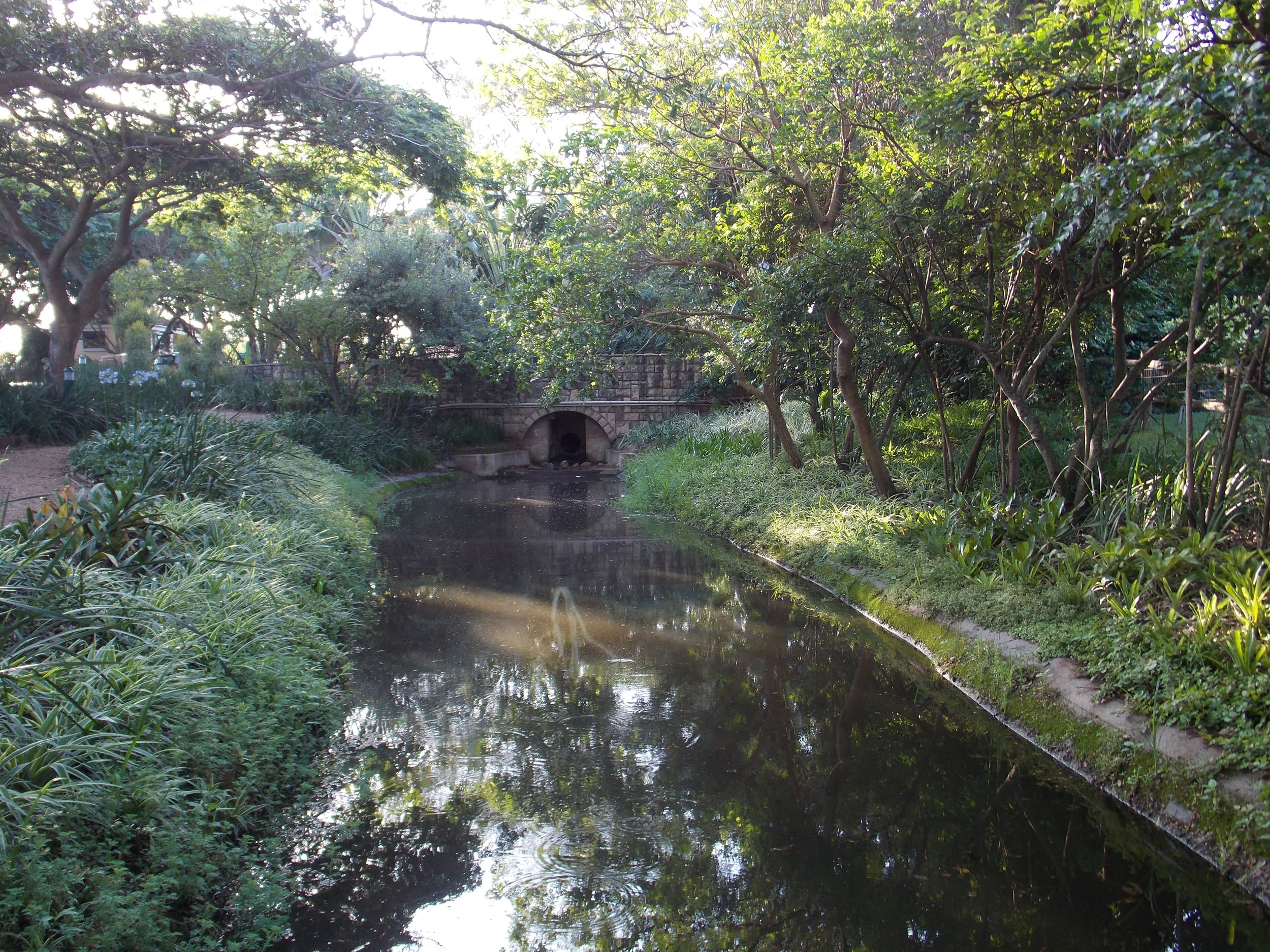 DSCN0745.jpg