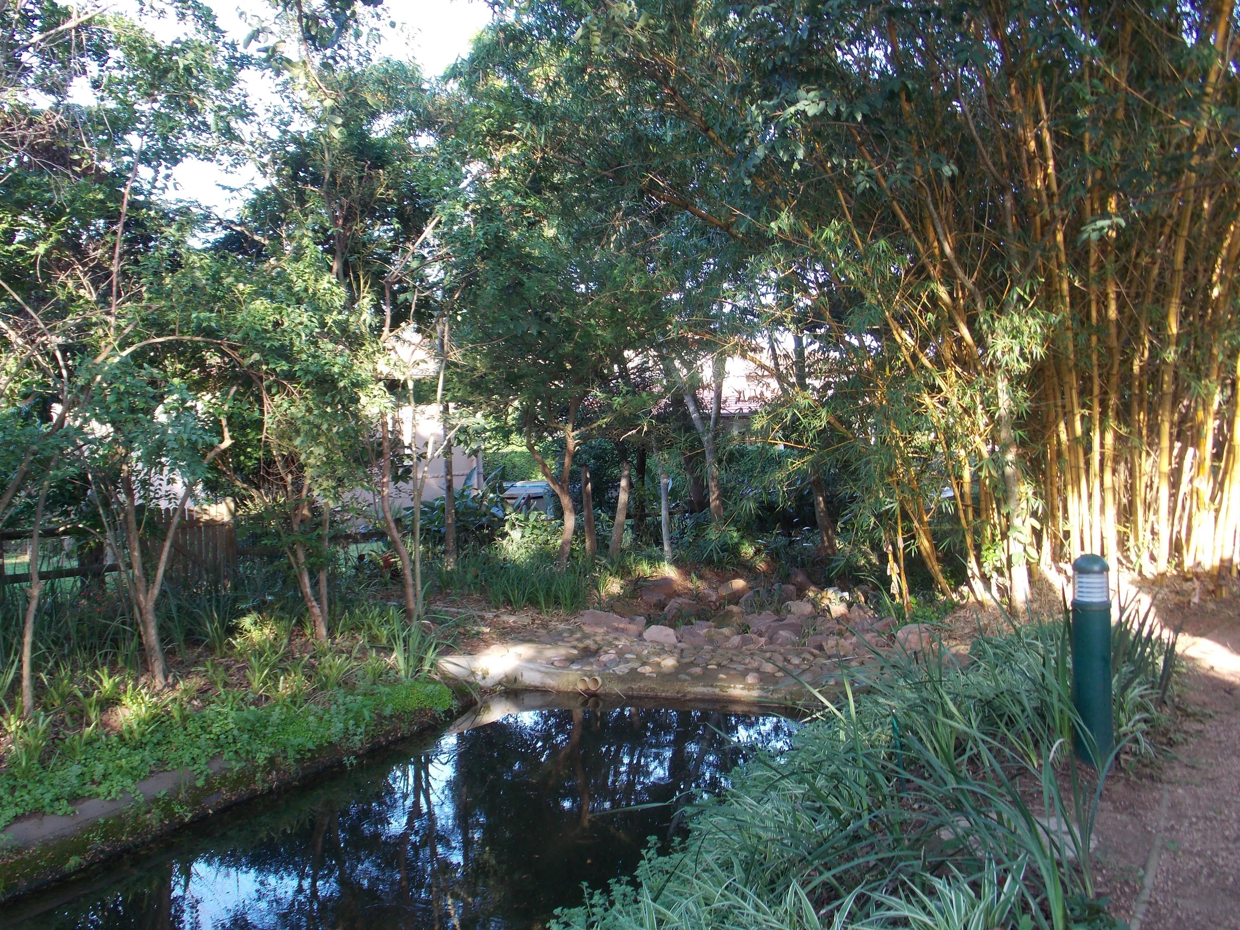 DSCN0744.jpg