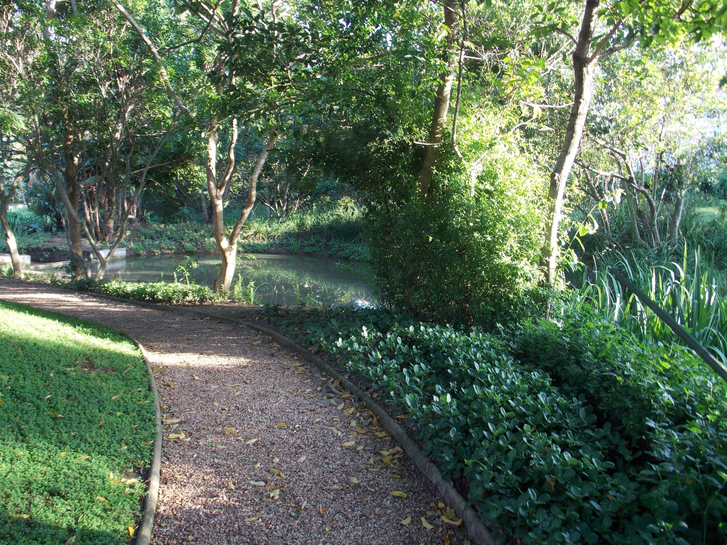 DSCN0746.jpg