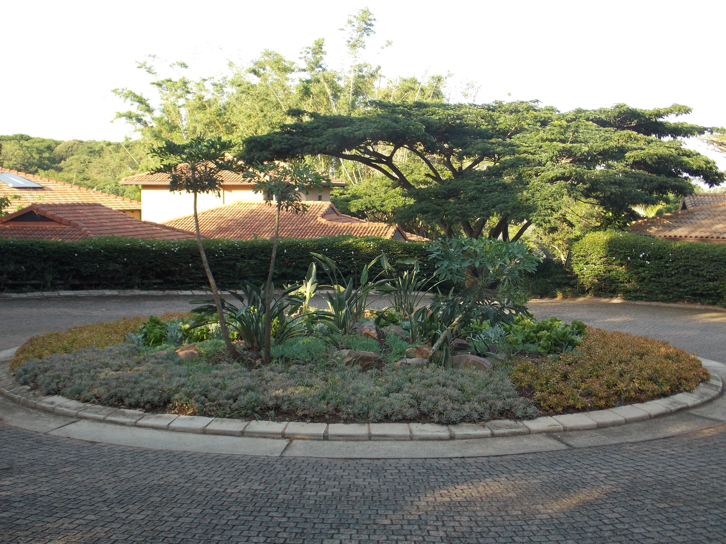 DSCN0759.jpg