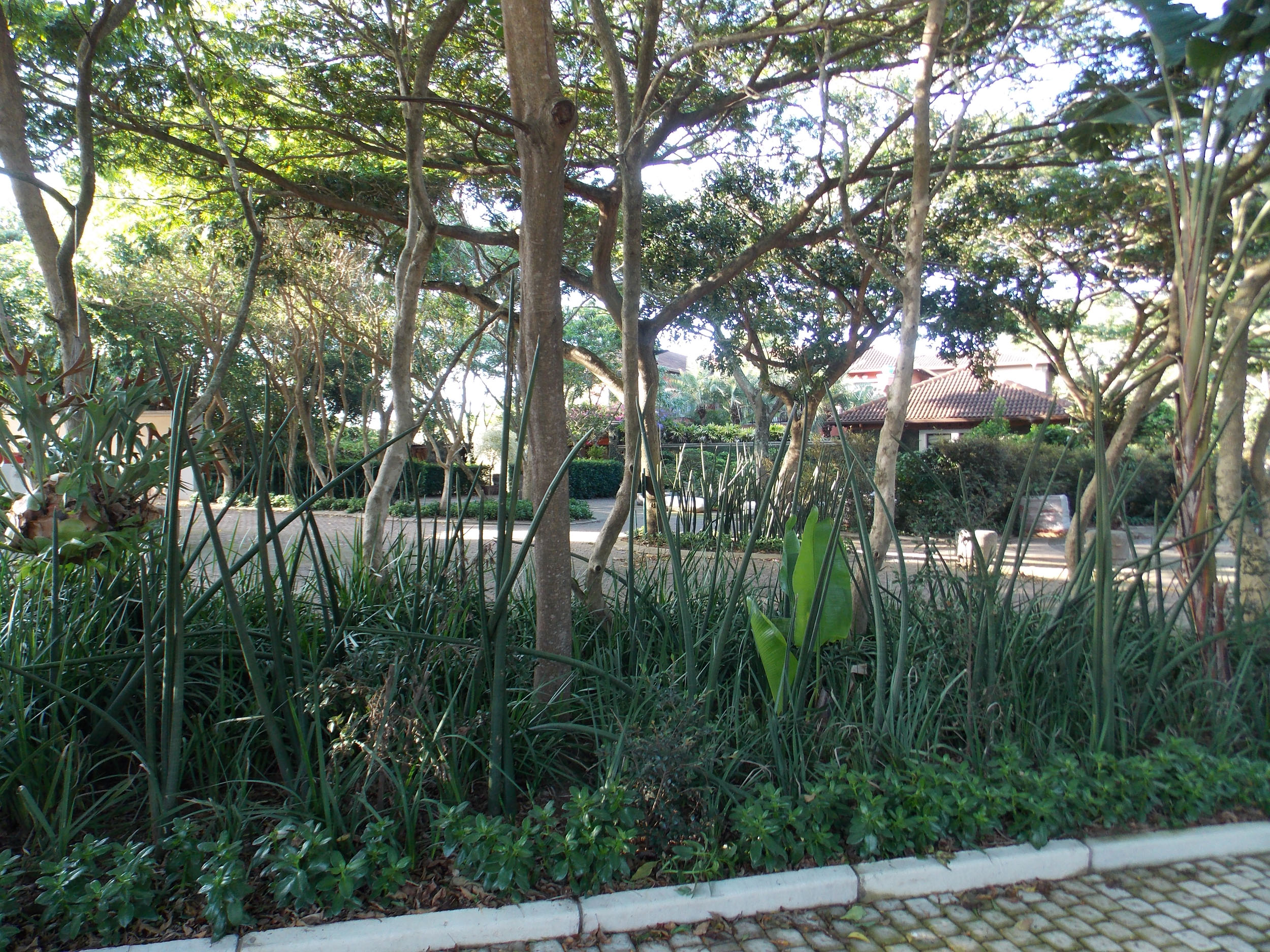 DSCN0762.jpg