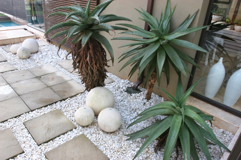 Creating A Succulent Rock Garden Eco, Landscaping With Succulents And Rocks