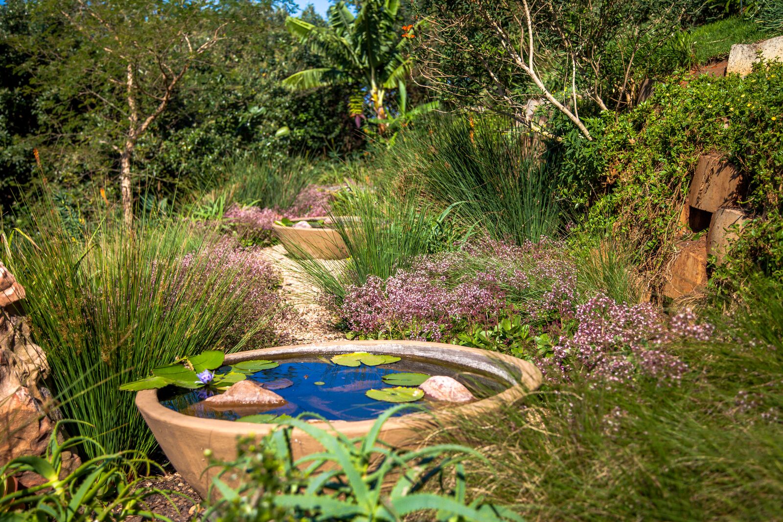 Simbith Garden Emboya11.jpeg