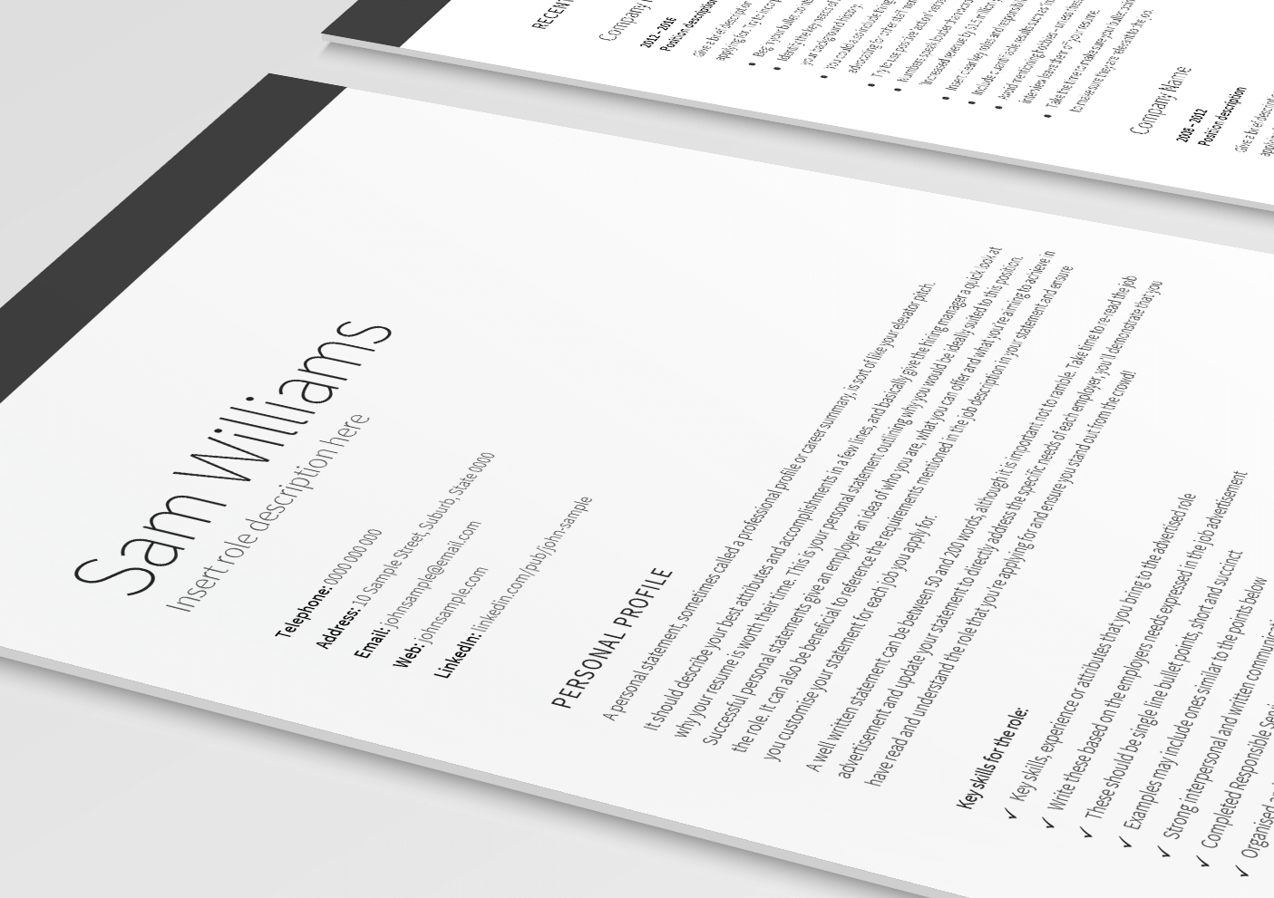 Classic-Executive-Resume-3D-Cropped.png