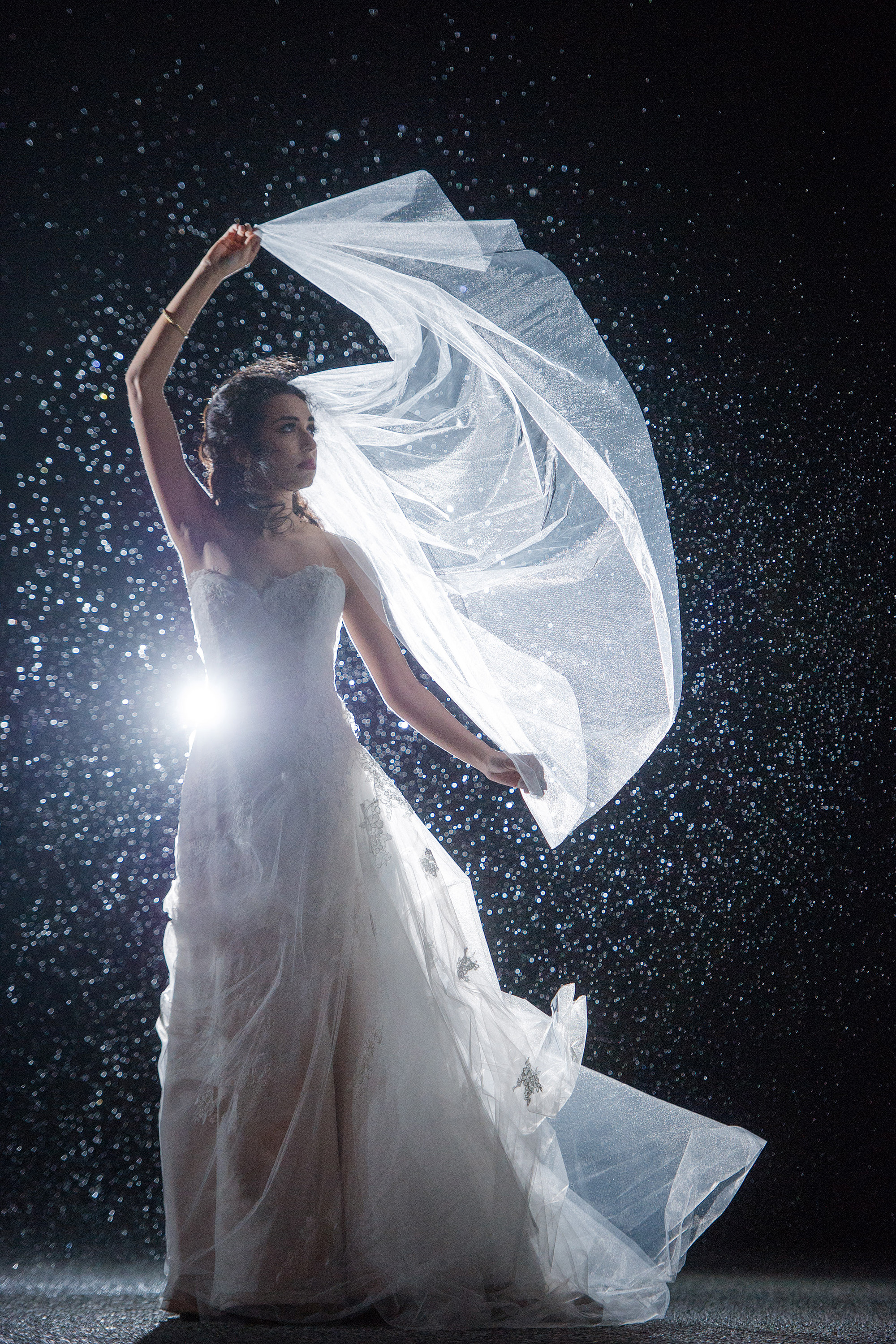 Bridal Night Portrait, Cabazon CA