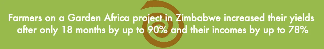 zim yields banner 1300.jpg