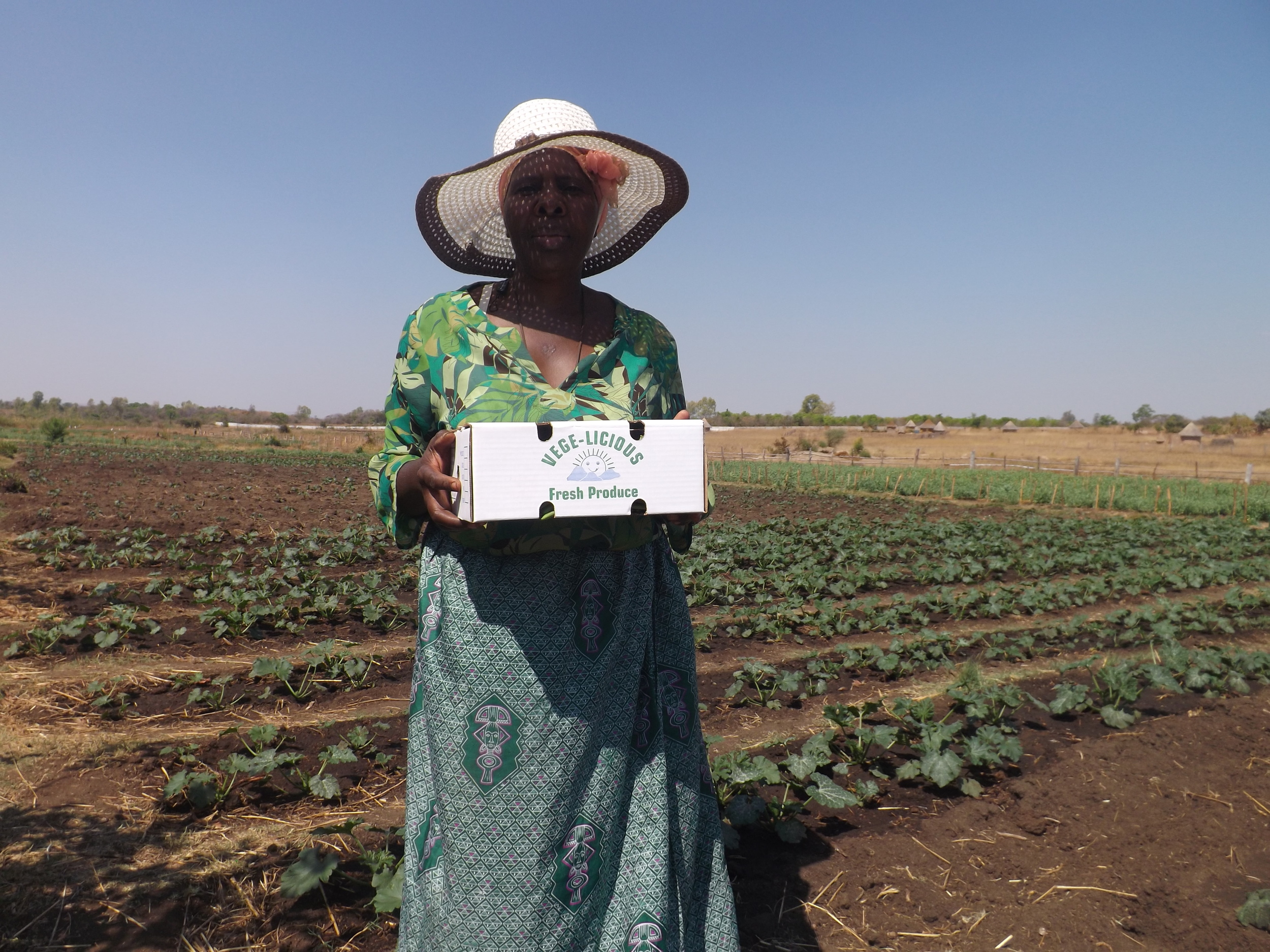 Diverse horticultural production under careful rotation reduces environmental, climate and market risks. Organic production & market development in Zimbabwe .