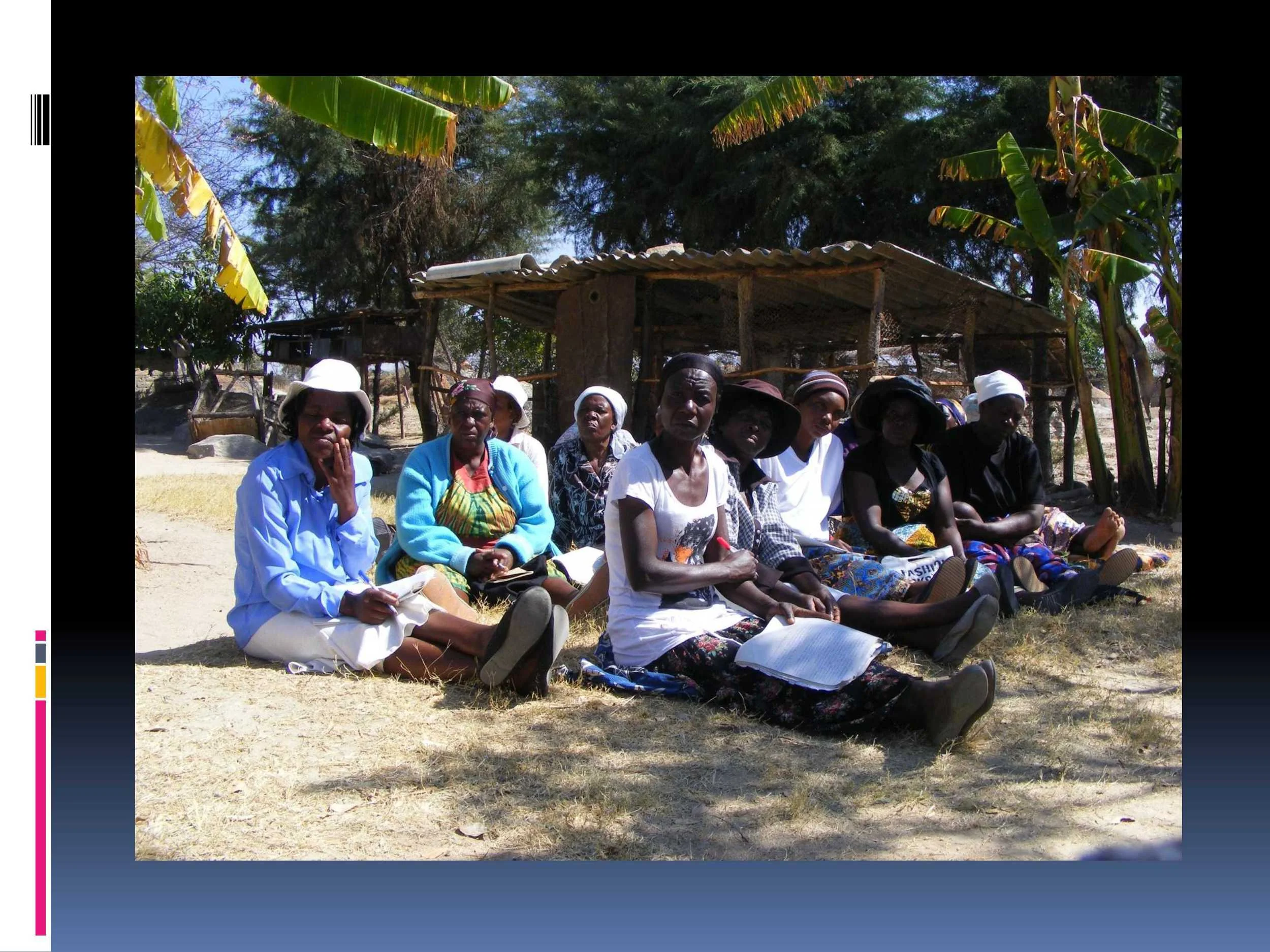 But there was an important condition for them joining the course – that they each form groups of fellow smallholder to pass these skills on, and develop and certify as organic associations. The average group is 20 – but Beauty’s now has 35 members. 