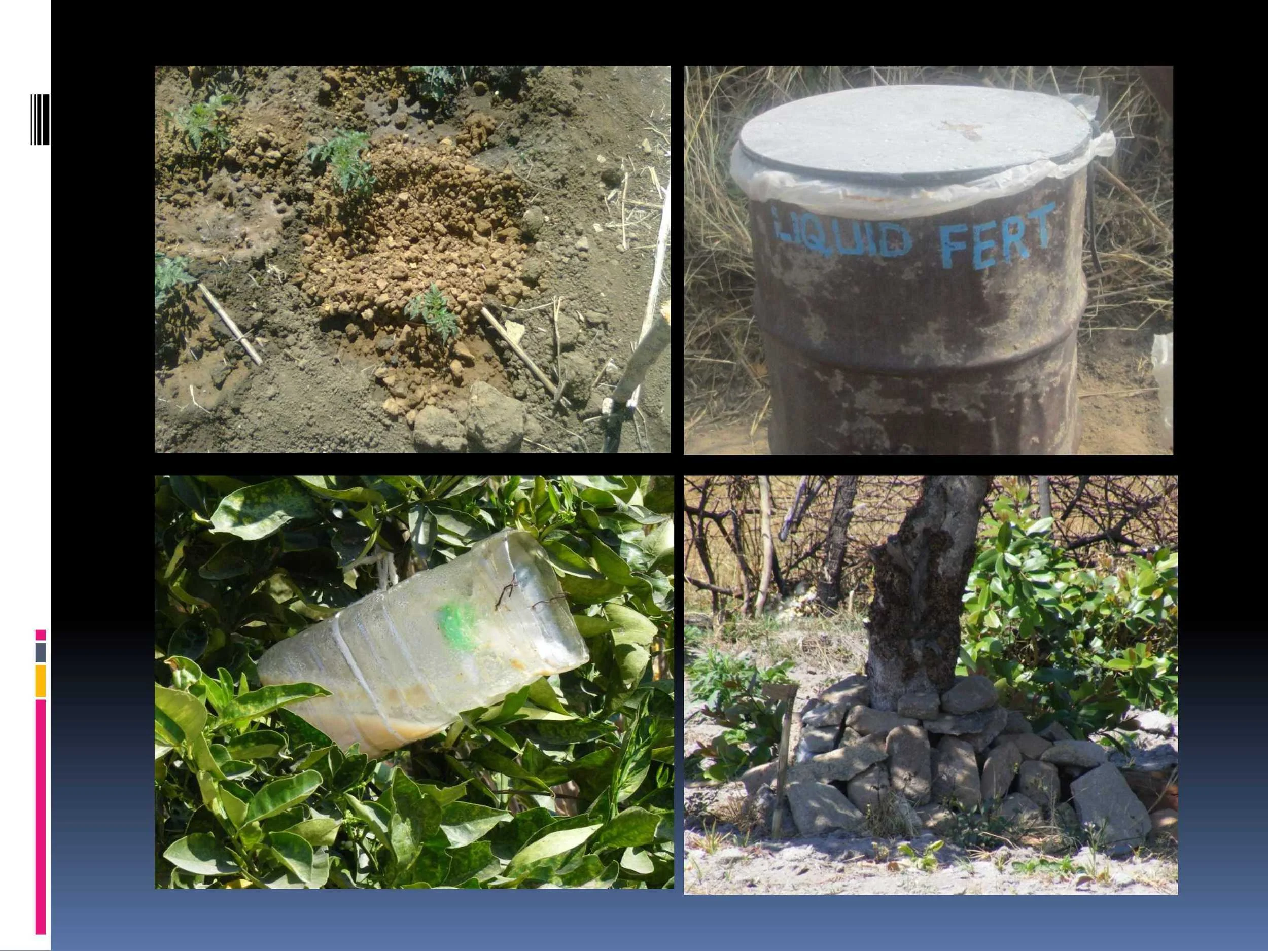 Training included making the most of the resources all around them – like nutrients from termite mounds, and fertilisers made from manure and comfrey, pest traps made from recycled waste, and creating habitats for pest predators to live at a safe distance. 
