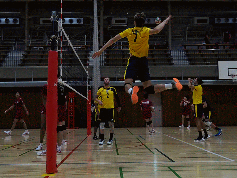 P3170043-ANIMATION.gif