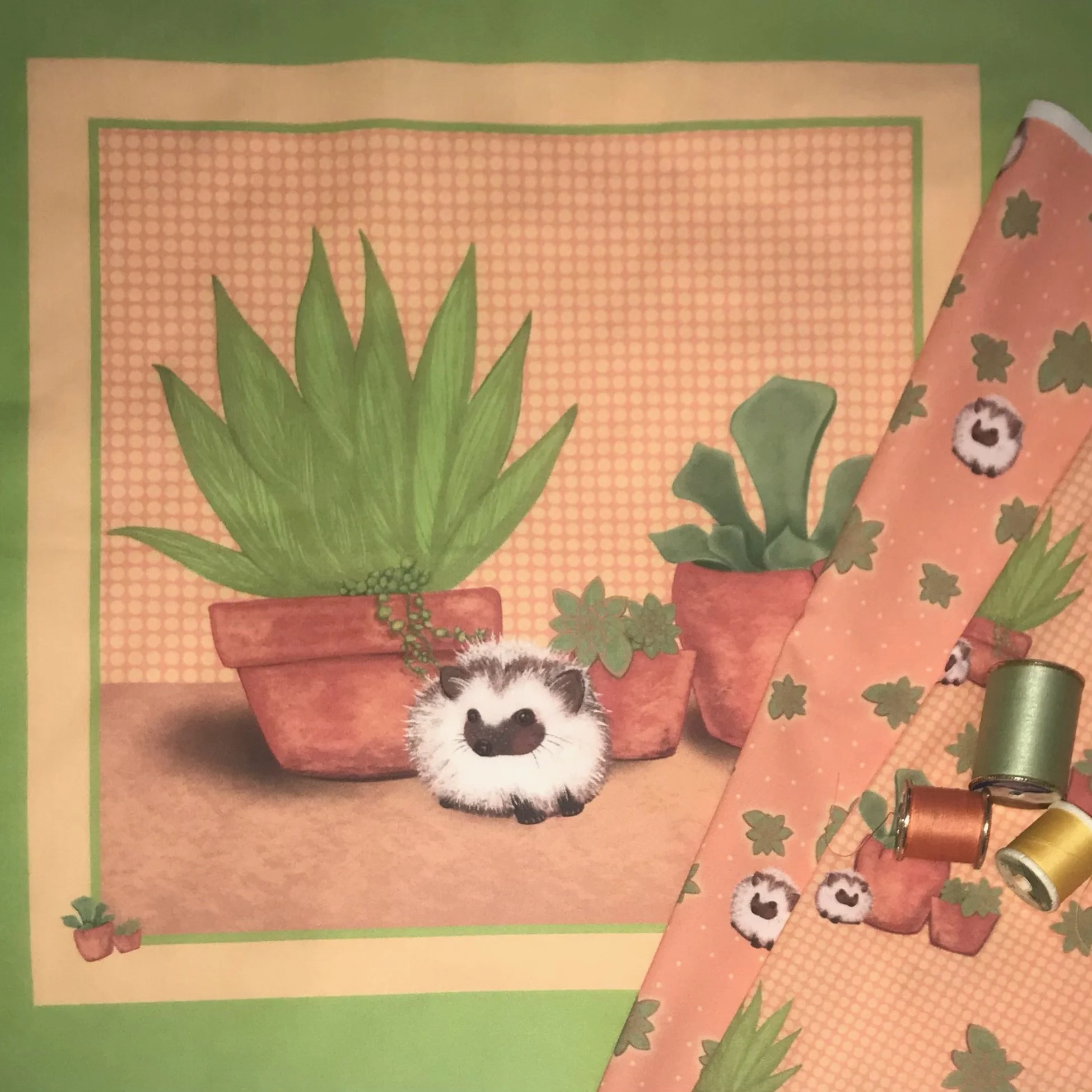 Little Buddy Hedgehog