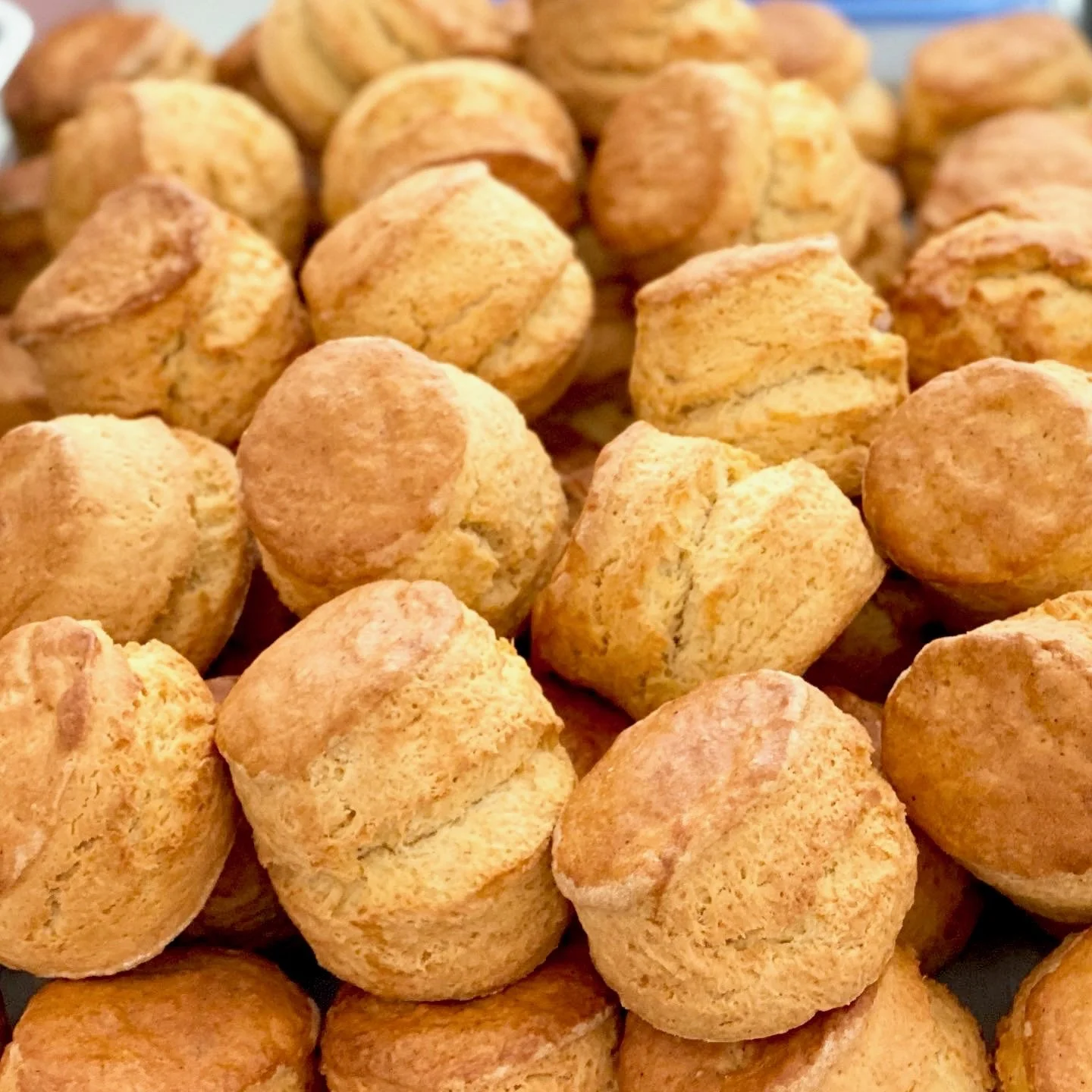 ROSEY_SCONES2.jpg