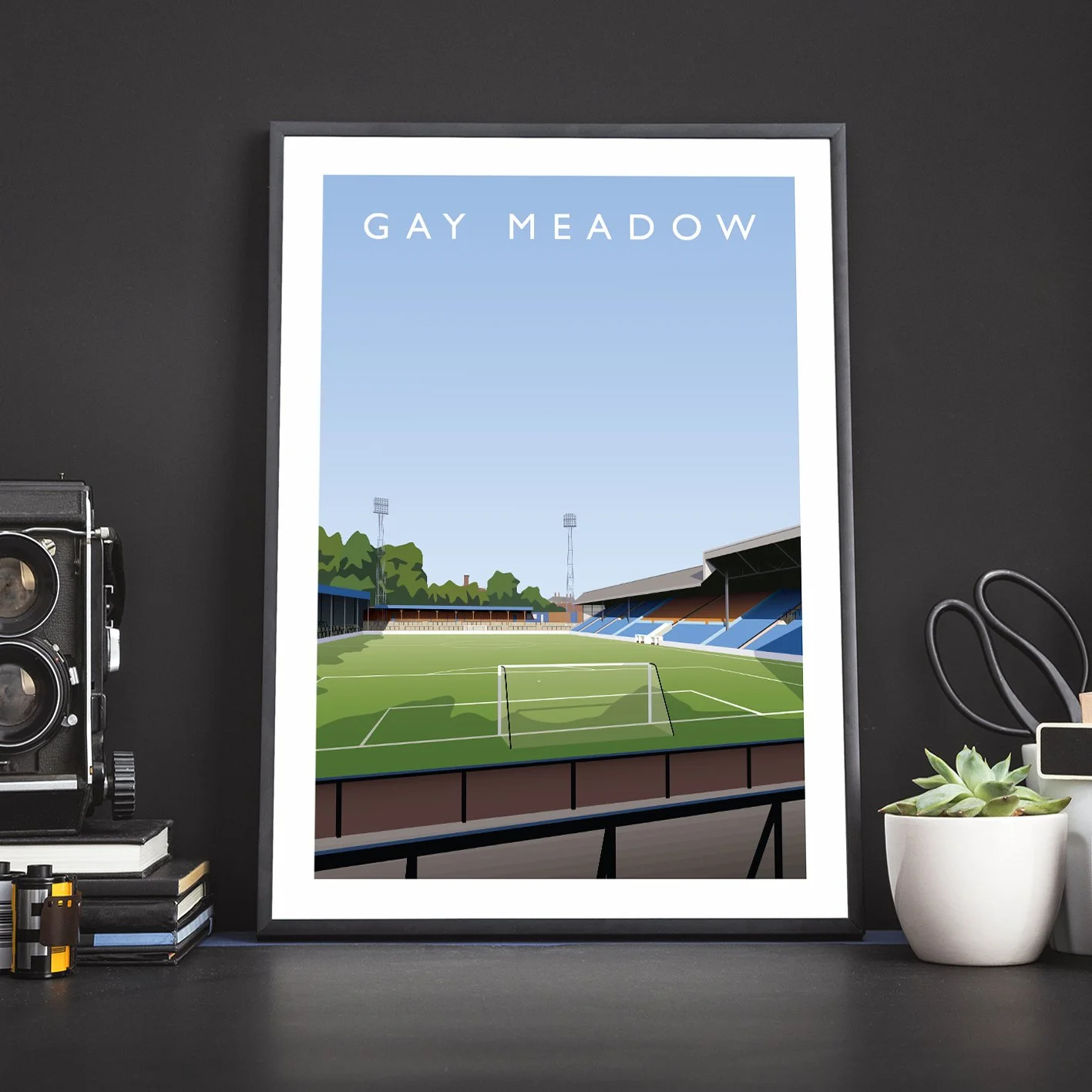 Gay Meadow Poster photo 1.jpg