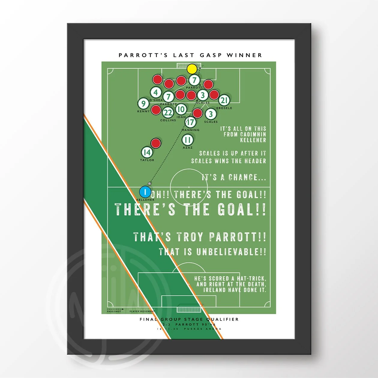 Republic Of Ireland Parrot Goal FRAMED POSTER.jpg