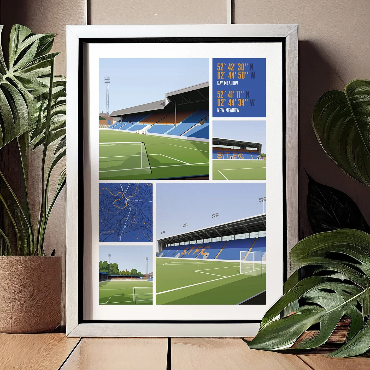 Gay Meadow & New Meadow Photo 03.jpg