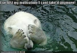 ive lost my motivation.jpeg