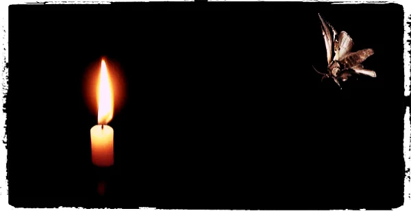 Moth to a Flame: Live your Bucket Life and THEY will find YOU!