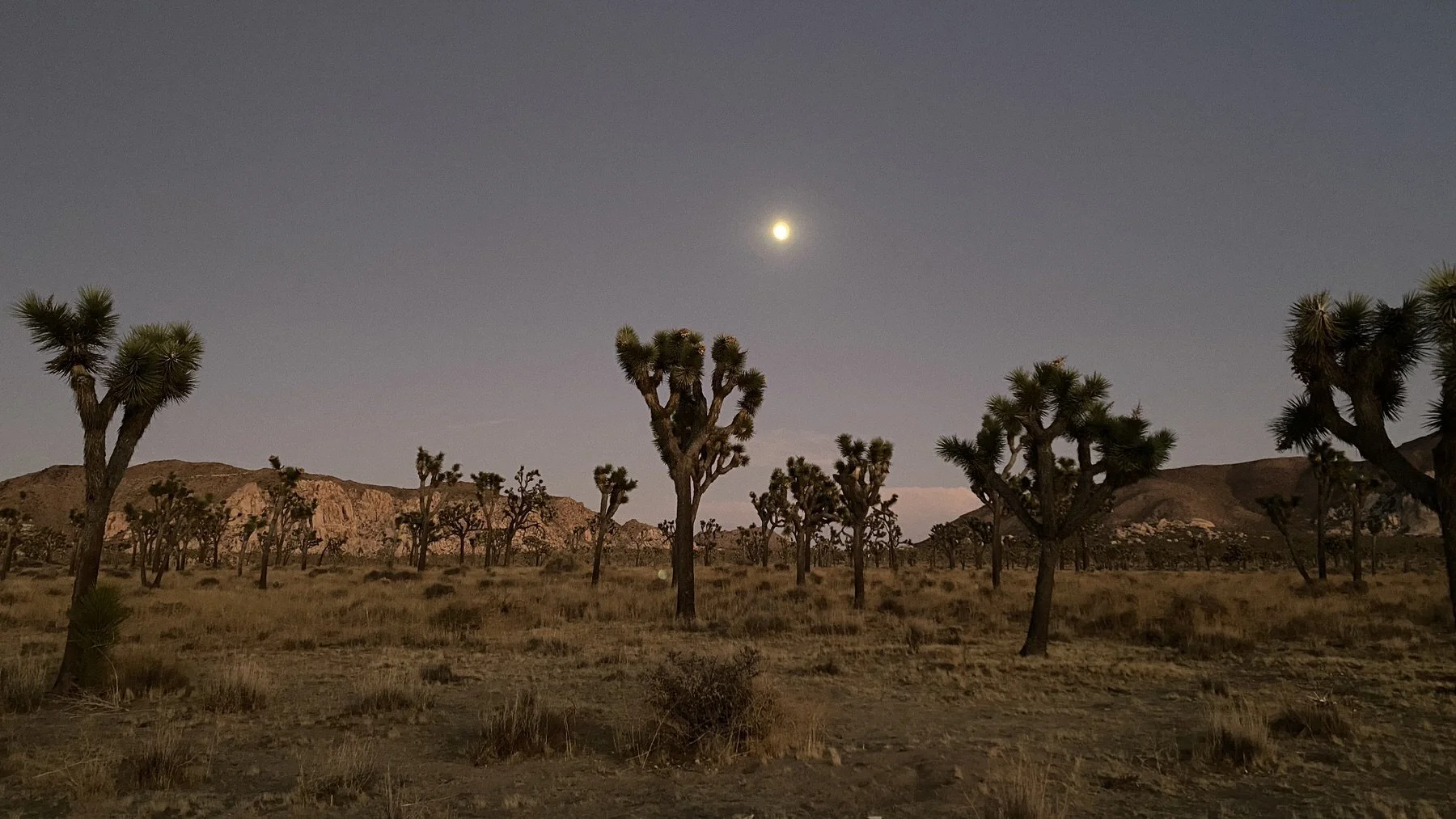 Unlocking Social Media’s Hidden Power for Outdoor Brands social media