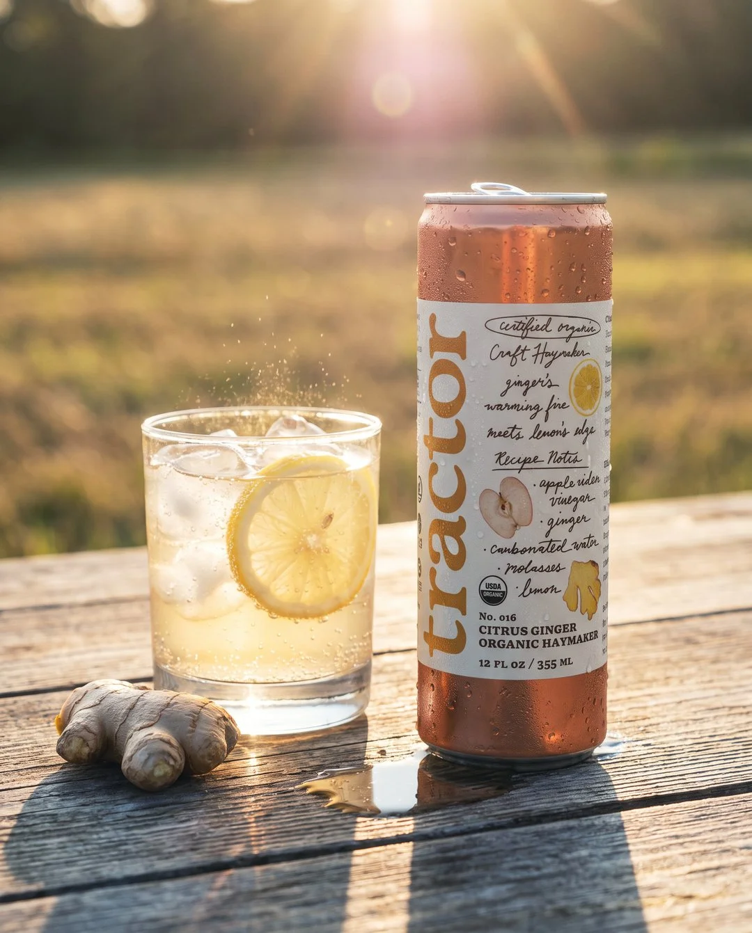 A full tablespoon of organic apple cider vinegar in every can. Ginger, lemon, a little molasses, real bubbles. Five grams of sugar and that's it. Pour it over ice and tell us what you'd add.