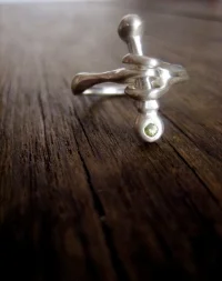 Hinge.ring.JPG