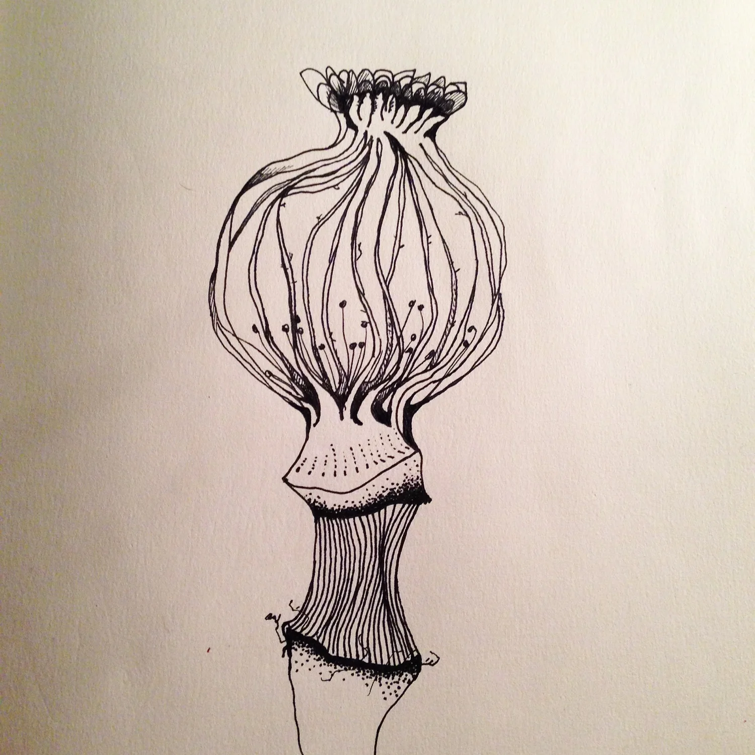 Botanical 2.jpg