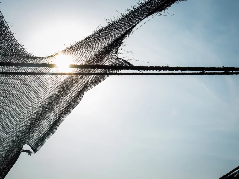 A weathered tarp is strung up at the water's edge to provide some respite from the sun. In this series, I photographed the daily happenings of a group of fishermen in the small town of Taganga, on the northern coast of Colombia. They use a simple yet effective method, common of indigenous groups, that has been passed down through generations. Their connection to the sea and their commitment to this way of life persists despite the amassing threats of pollution and over-fishing by commercial enterprises.