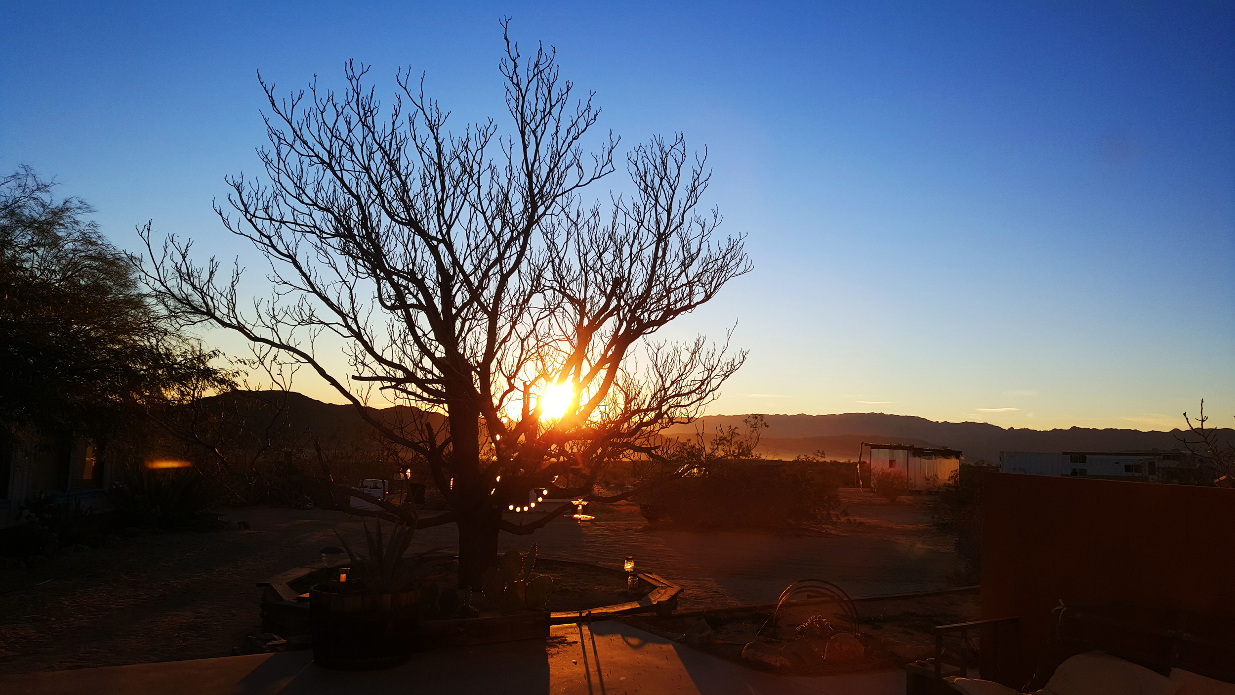 Desert sunrise in Joshua Tree, CA