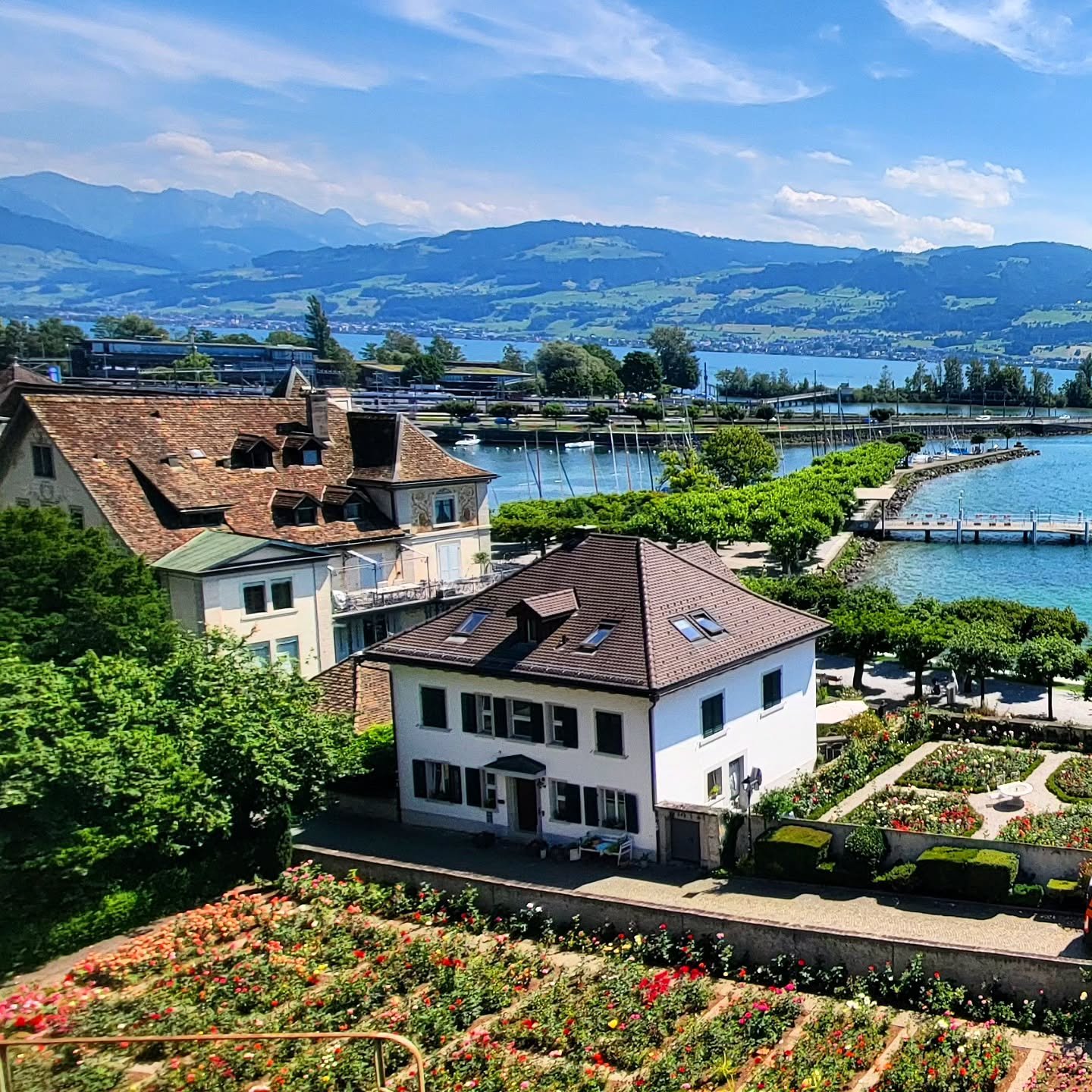 I may still be traipsing around Switzerland, but I haven't forgotten about gathering with YOU soon.
Grab your virtual seat for:
✨️ Saturday, June 28 from 12-1:30p
✨️ Monday, June 30 from 6-7:30p
Register at the link in my bio or here: www.katydaix