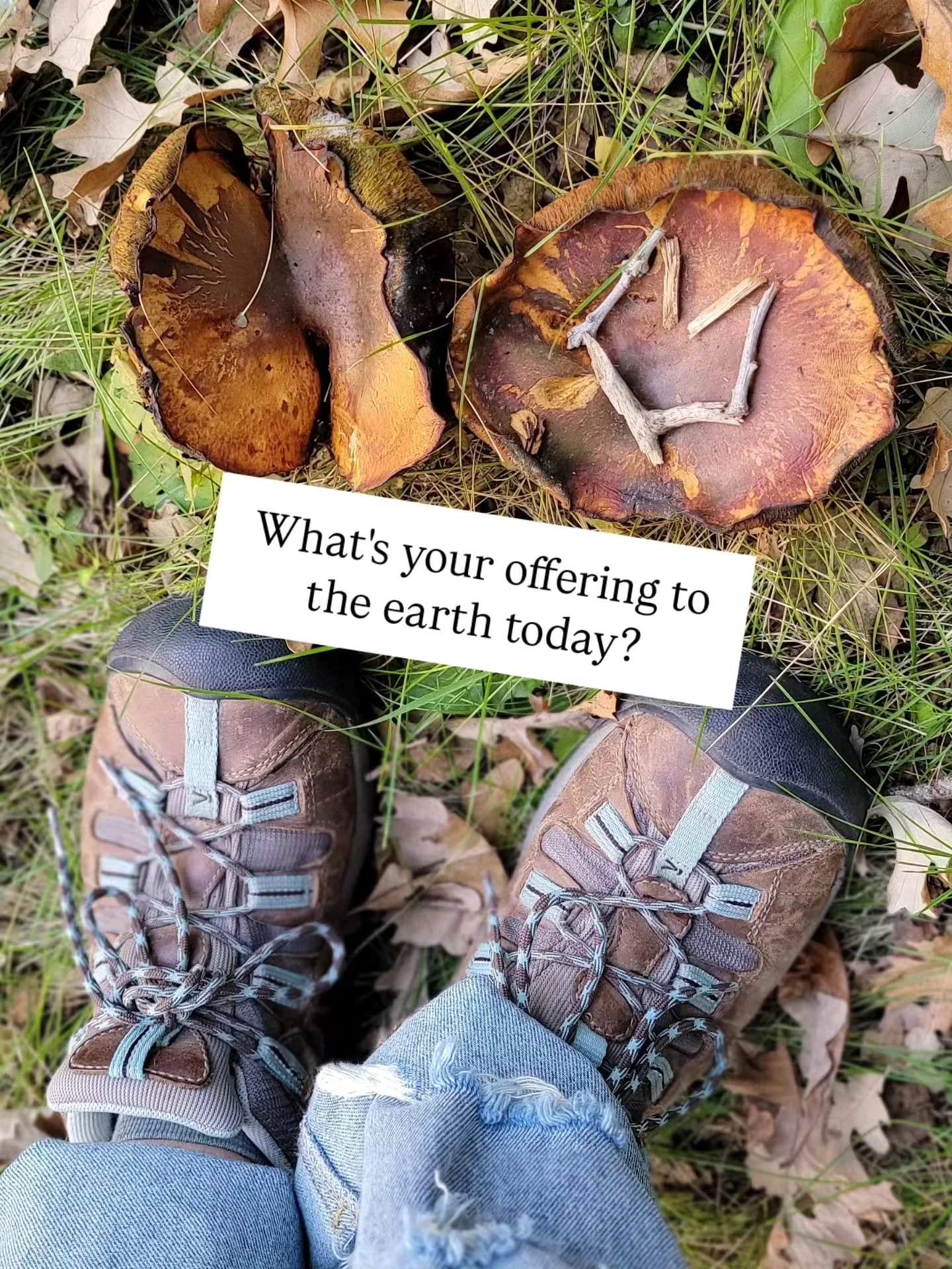 Sometimes, when I let the world get in my head a lot, I offer something to the earth: a prayer, an intention, a desired feeling that I hope to carry with me (and that I hope the whole world will feel) in all my days. Today, I chose love. For earth. A