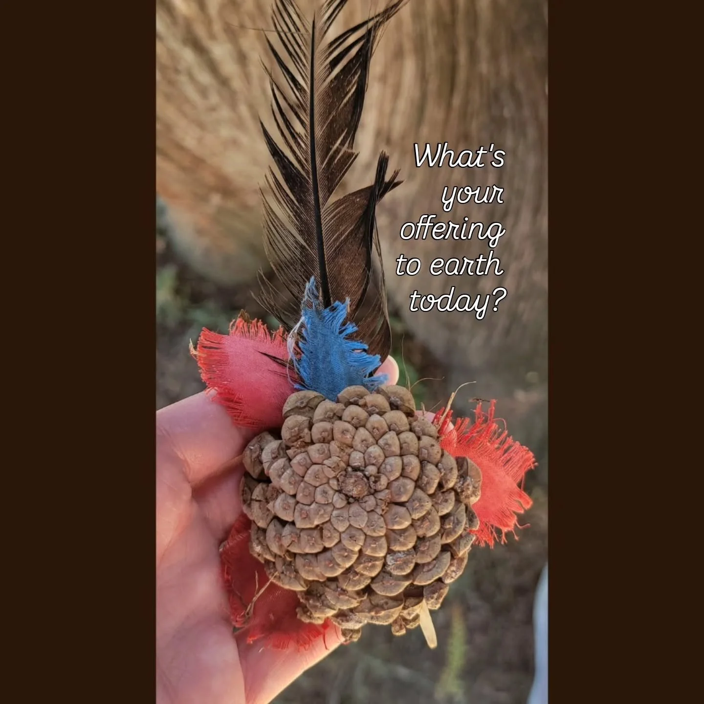 Today's offering: healing/wellness 🫶 for any low energy/ill baddies out there right now. 

❤️ Red for vitality
💙 Blue for calming the system
🪶 Black feather for protection
🌲 Pine cone for intuitive connection and patience with the timing of thing
