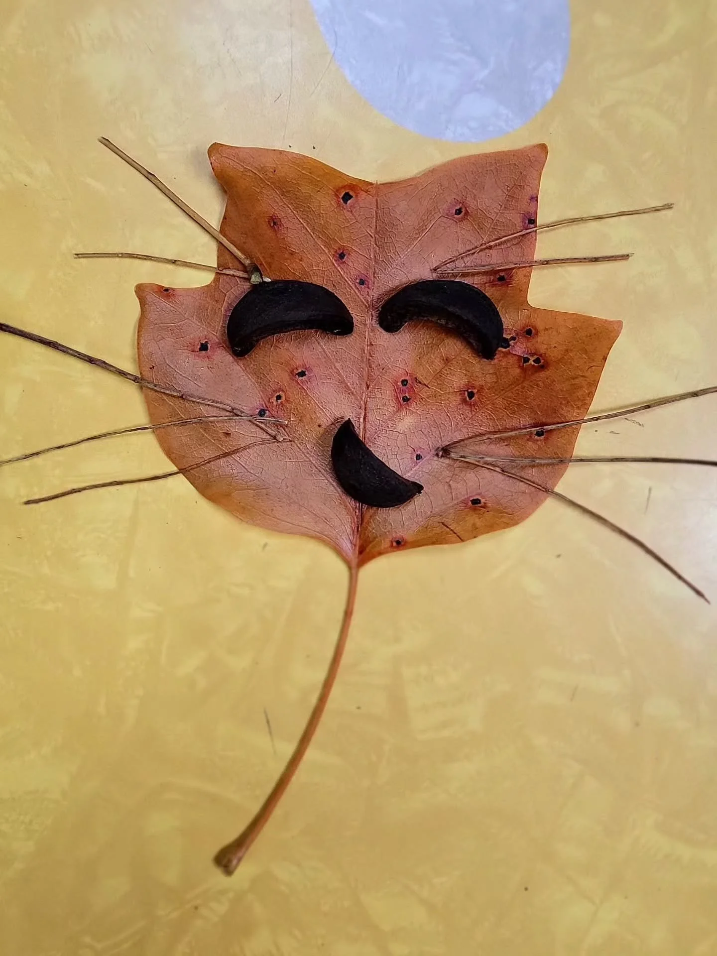 Which leaf cat are you today?