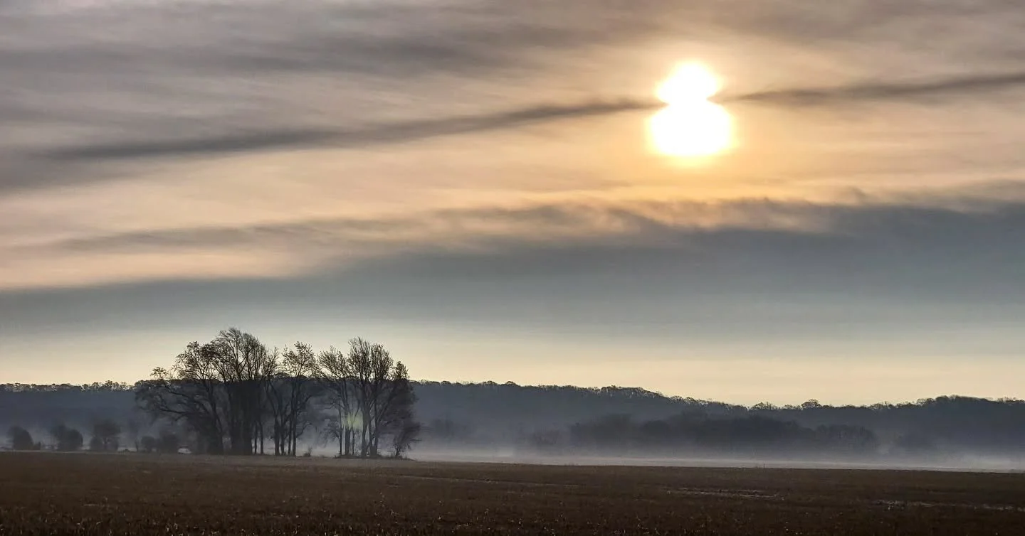 This morning, on my drive home from errands, two horses were running down 89 at me. There were tons of cars in the other lane, so I couldn't go anywhere, but before I needed to do anything, they flew right past me in the ditch, cut behind my car, acr