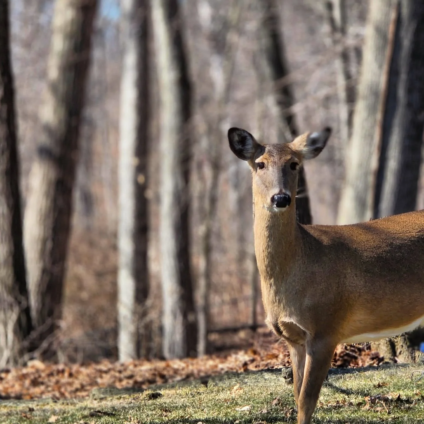 I just recently discovered that I've been discrediting the small steps I take on a daily basis. 😵&zwj;💫 I brush over clear moments &amp; right actions I take, because I'm hyper focused on false indicators of success (money, importance/relevance, or