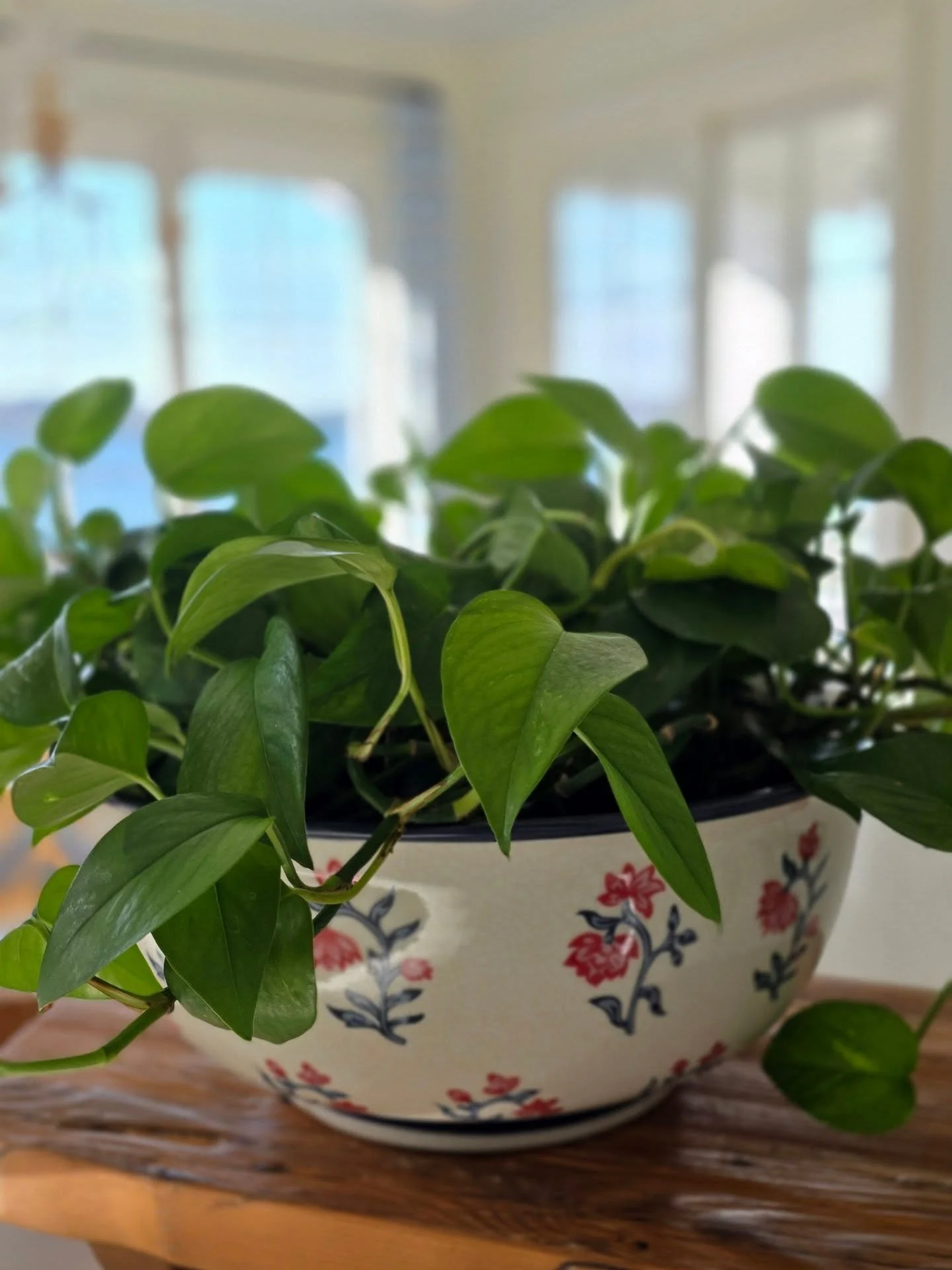 Lately's a vibe. 💋