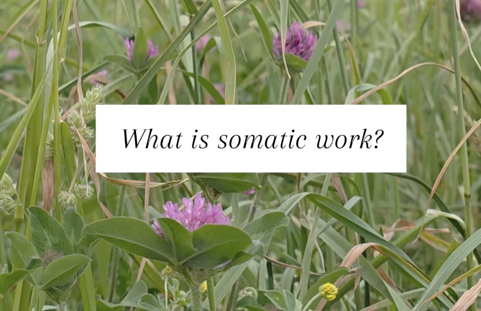 What is somatic work?