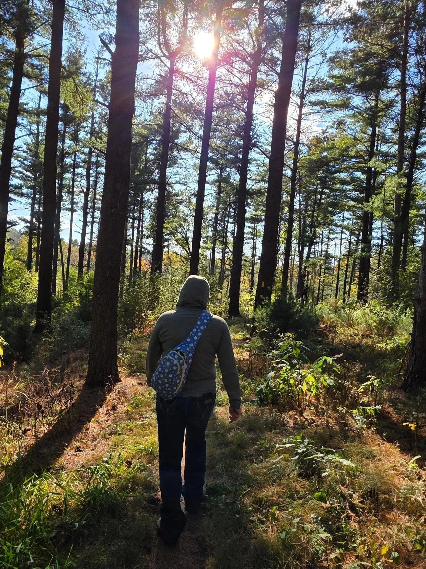 A dear friend, ☀️, &amp; 🍄🍄. Is there any better of an afternoon?