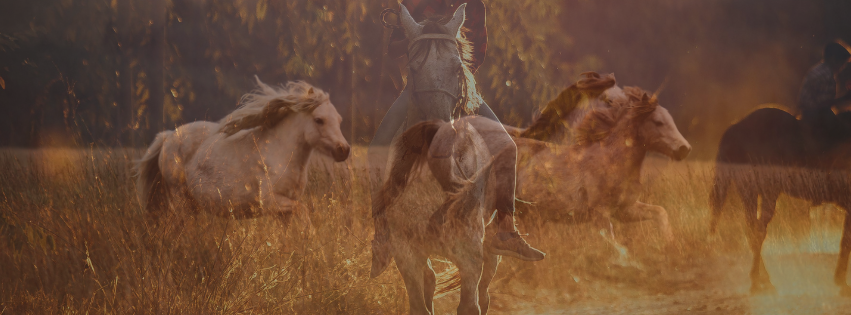 13 Questions to Clarify Your Vision