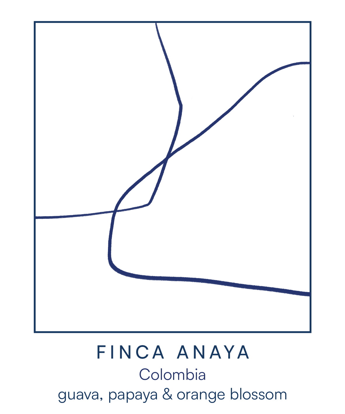 FINCA ANAYA