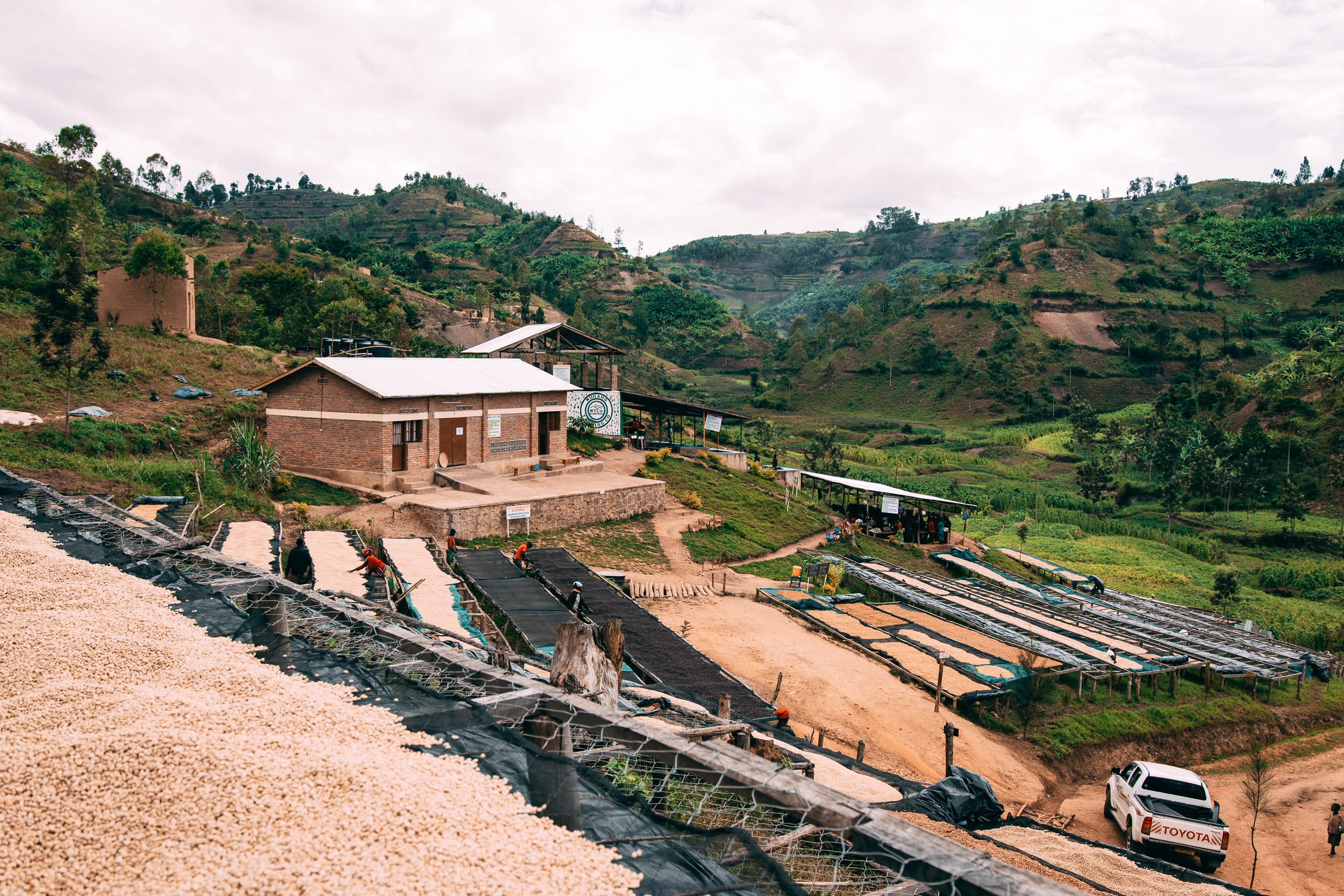 Kilimbi © Aidan Campbell 22.png
