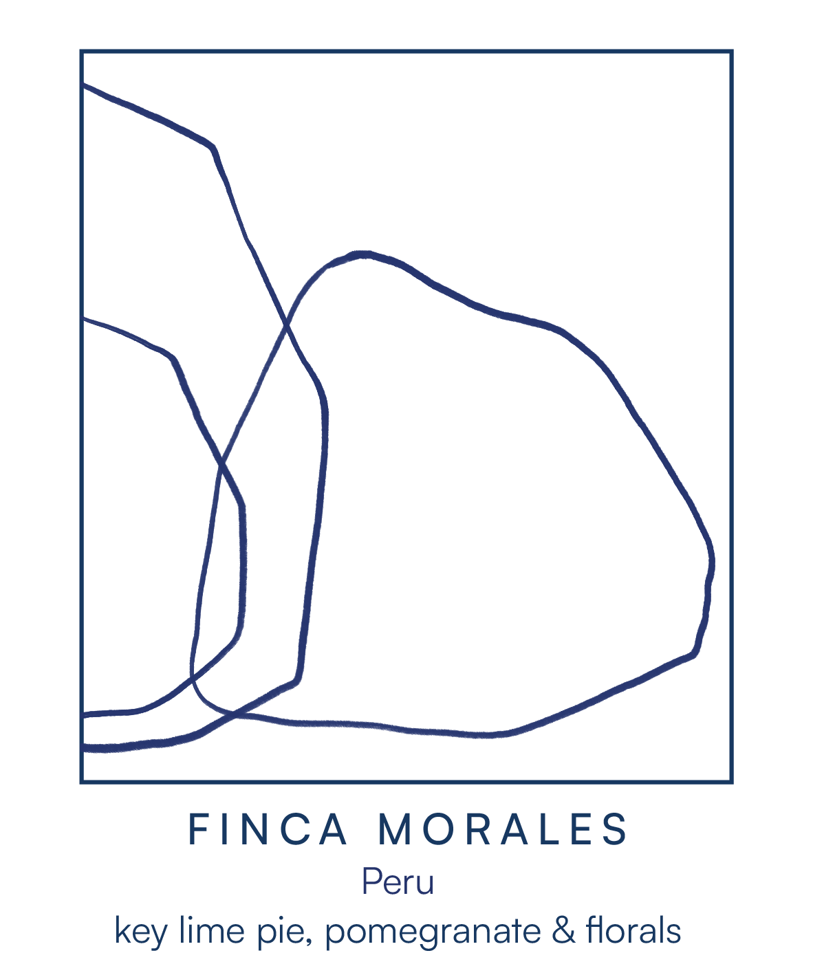 FINCA MORALES