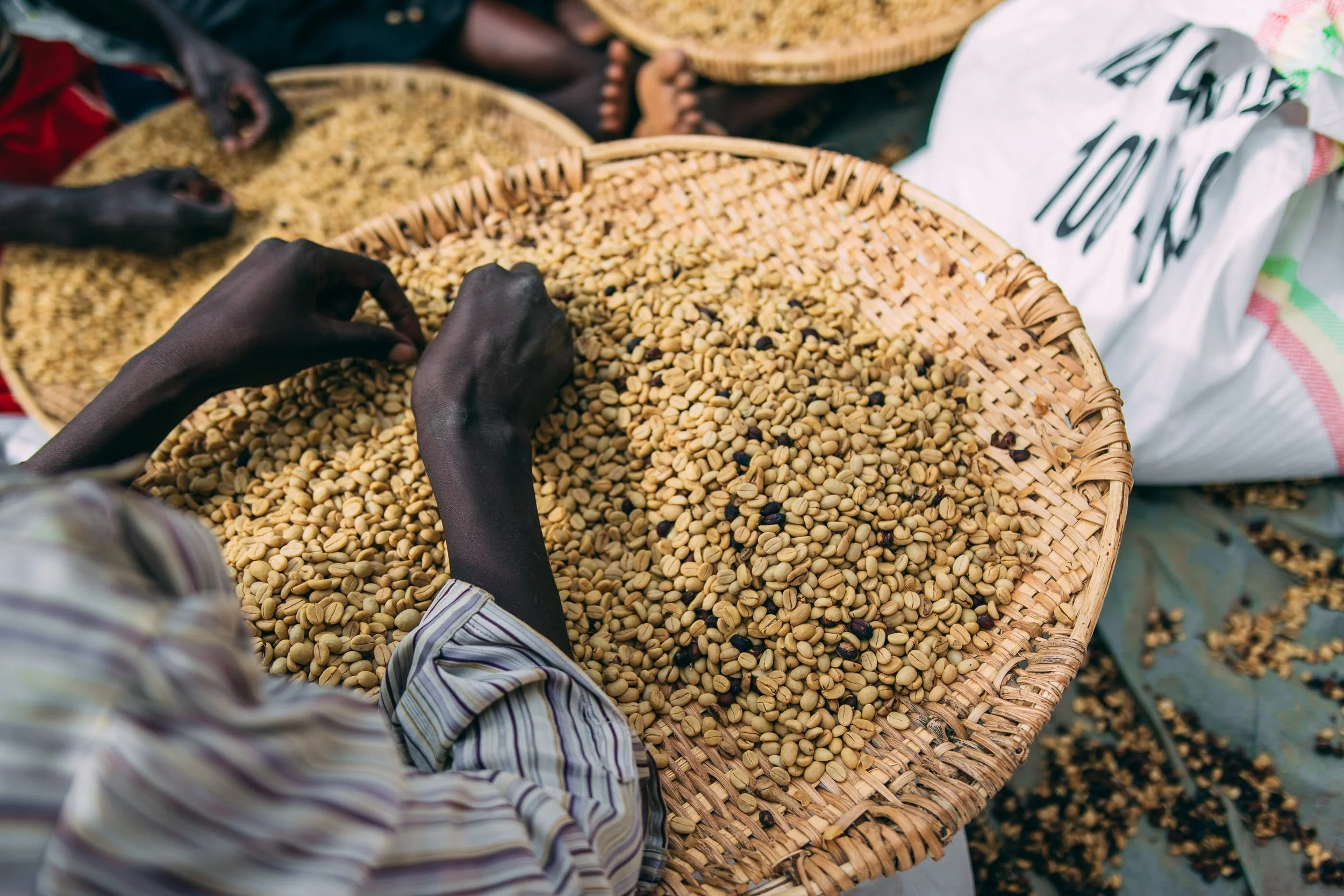 Rugali © Aidan Campbell 69.jpg