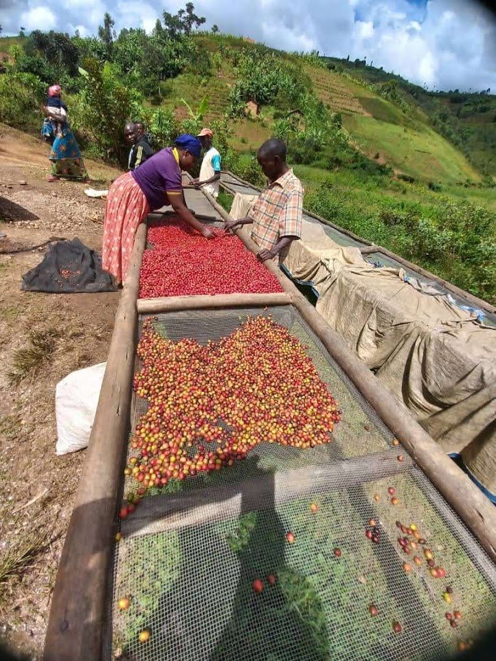 PHOTO-2022-04-25-17-16-27 2.jpg