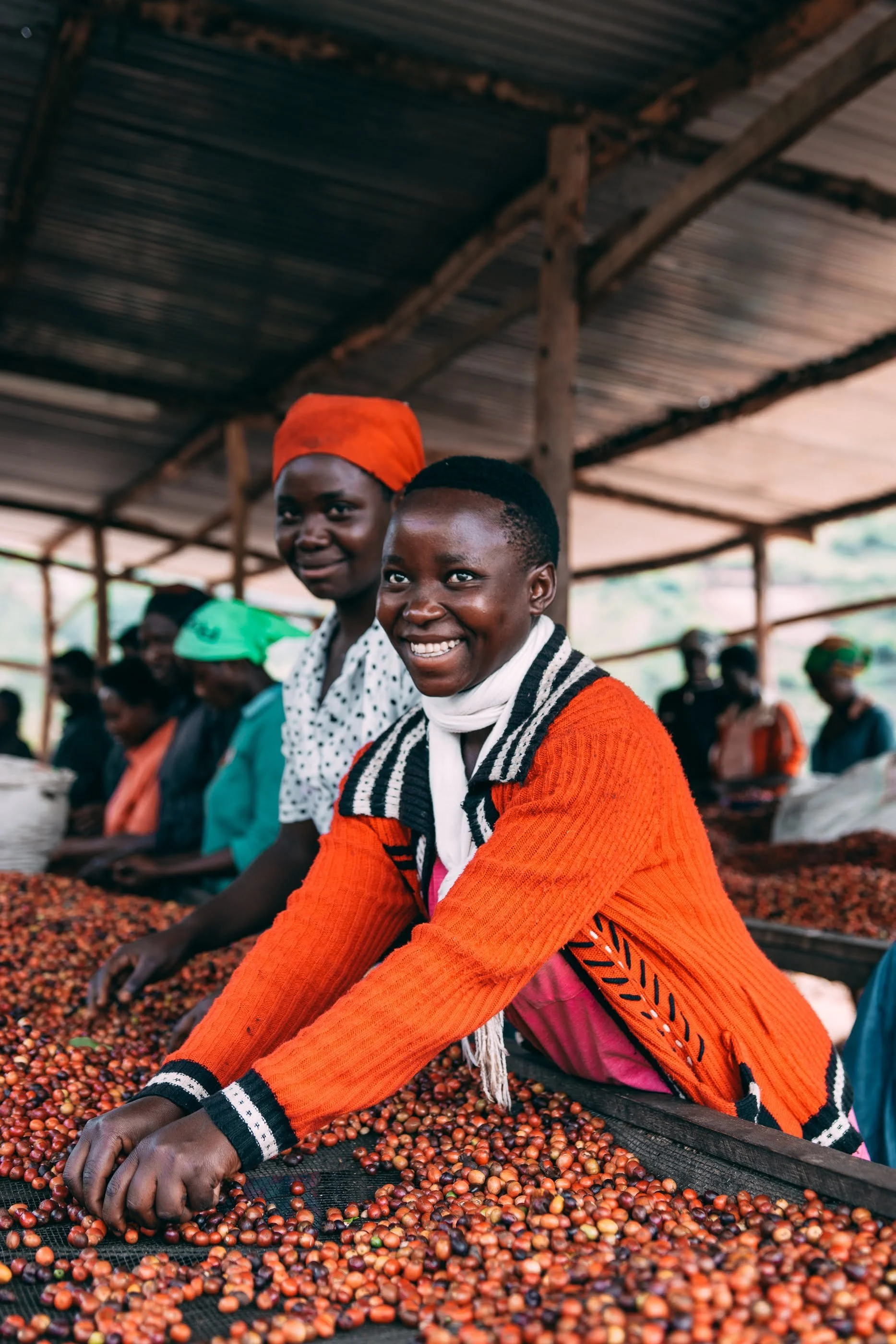 Kilimbi © Aidan Campbell 61.jpg